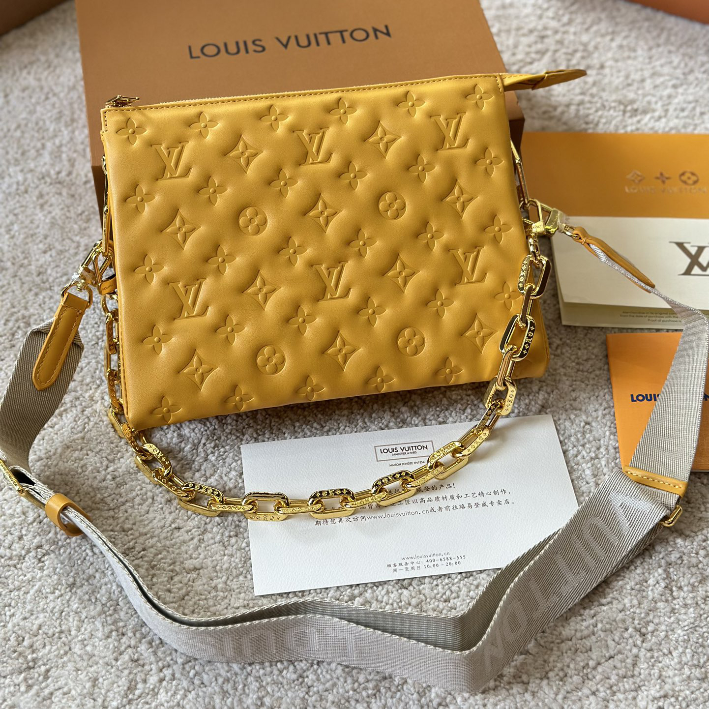 LV Coussin shoulder chain bag