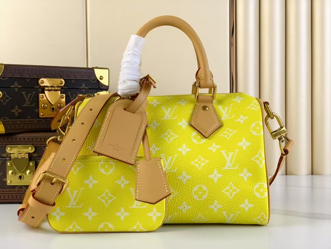 Top version speedy p9 bandouliere25 monogram handbag
