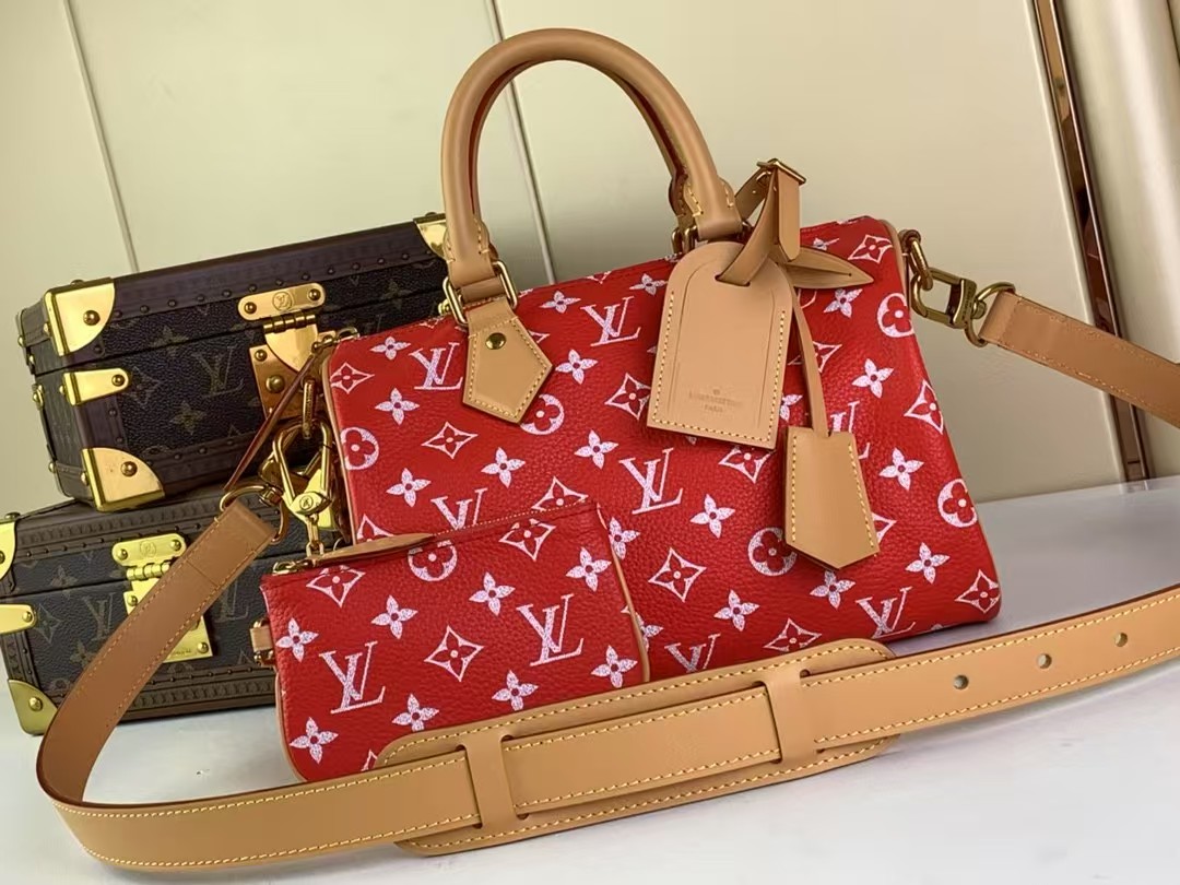 Top version speedy p9 bandouliere25 monogram handbag