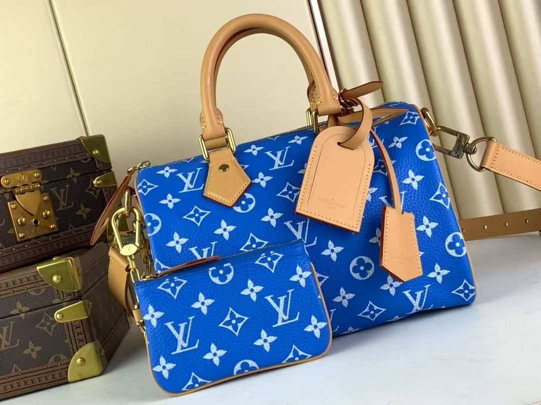 Top version speedy p9 bandouliere25 monogram handbag