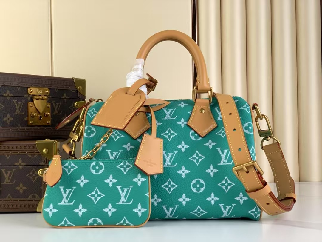 Top version speedy p9 bandouliere25 monogram handbag