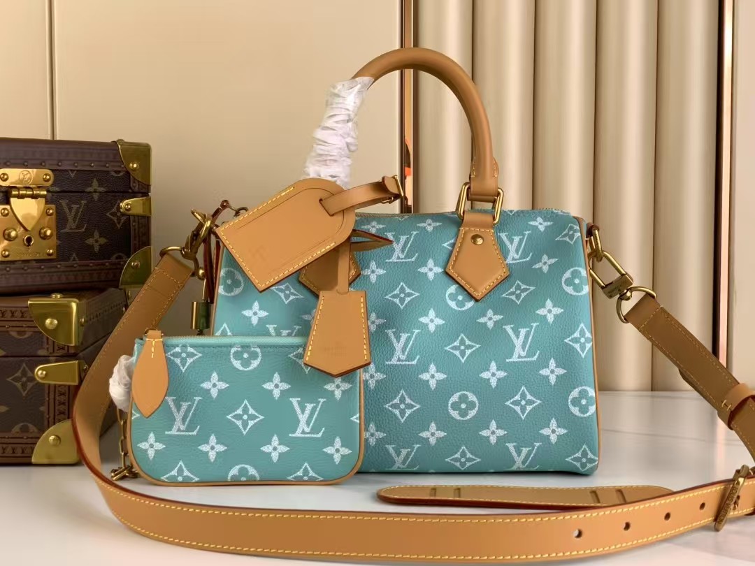 Top version speedy p9 bandouliere25 monogram handbag