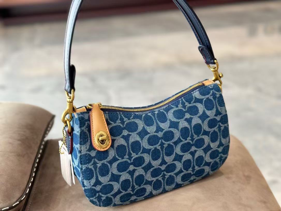 Coach Swinger20 Underarm Bag