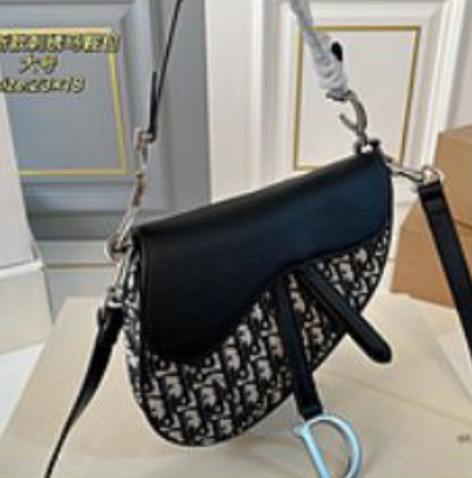 Dior Saddle bag
