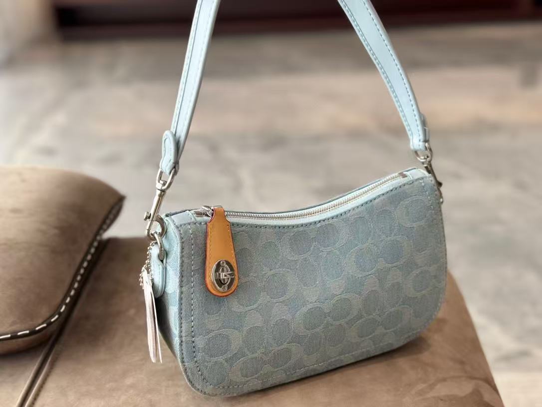Coach Swinger20 Underarm Bag