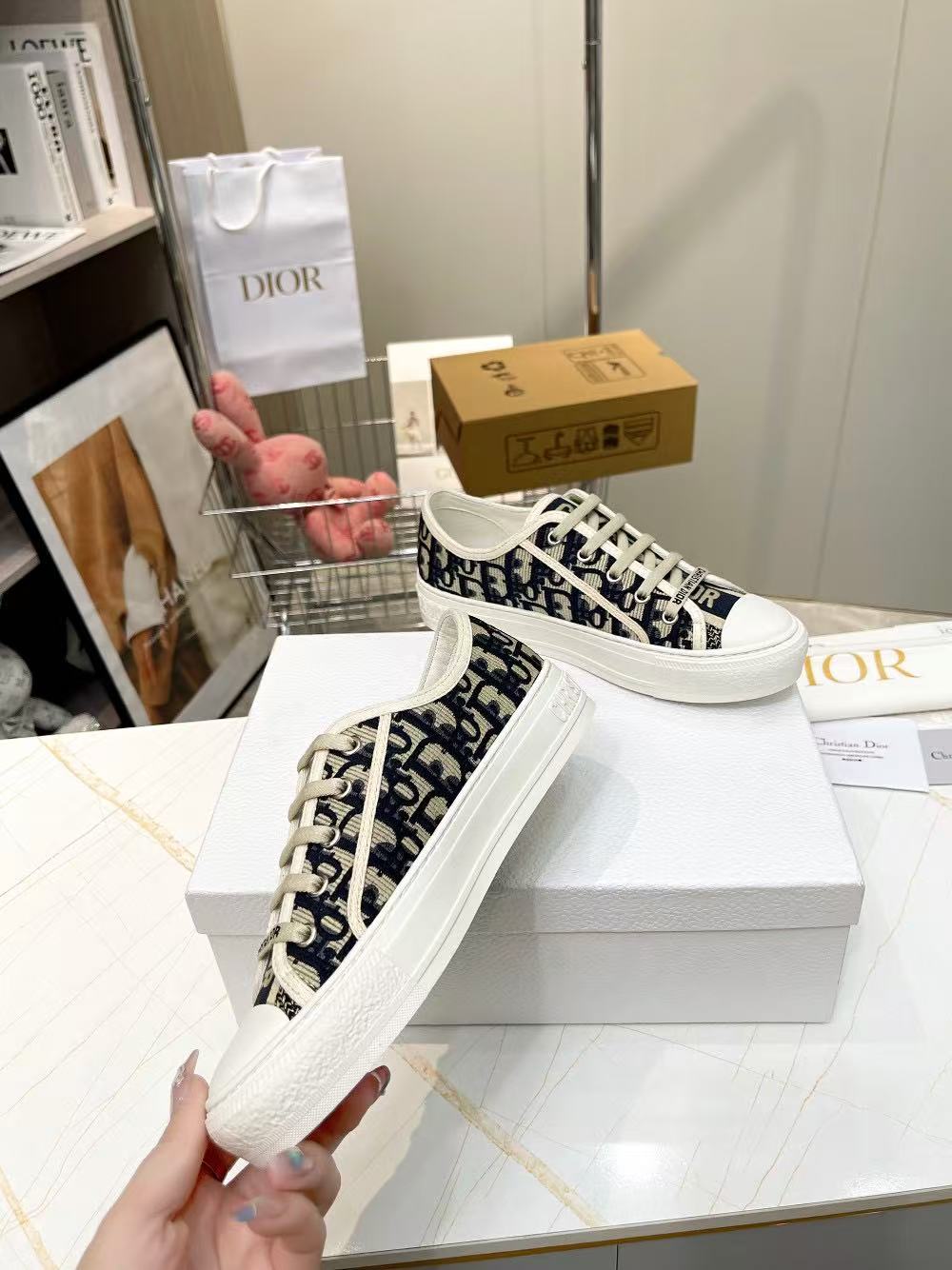 DIOR classic embroidered casual shoes