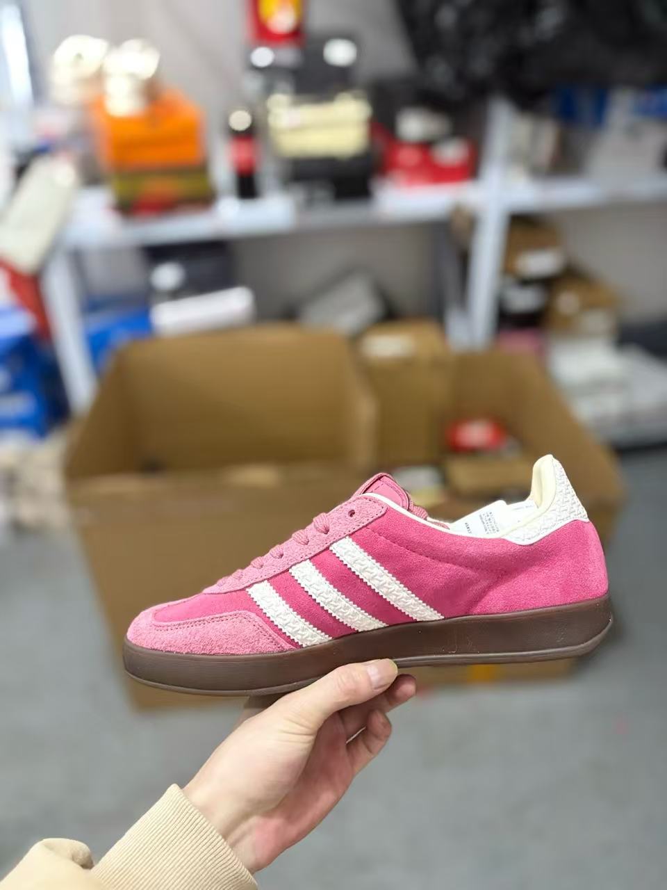 Adidas gazelle indoor trainers
