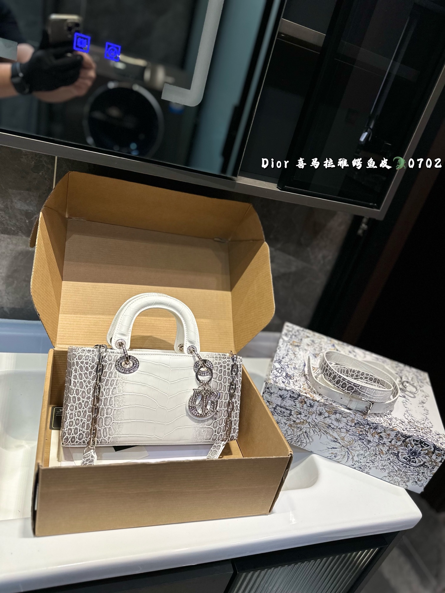 DIOR Lady D-joy horizontal Diana bag