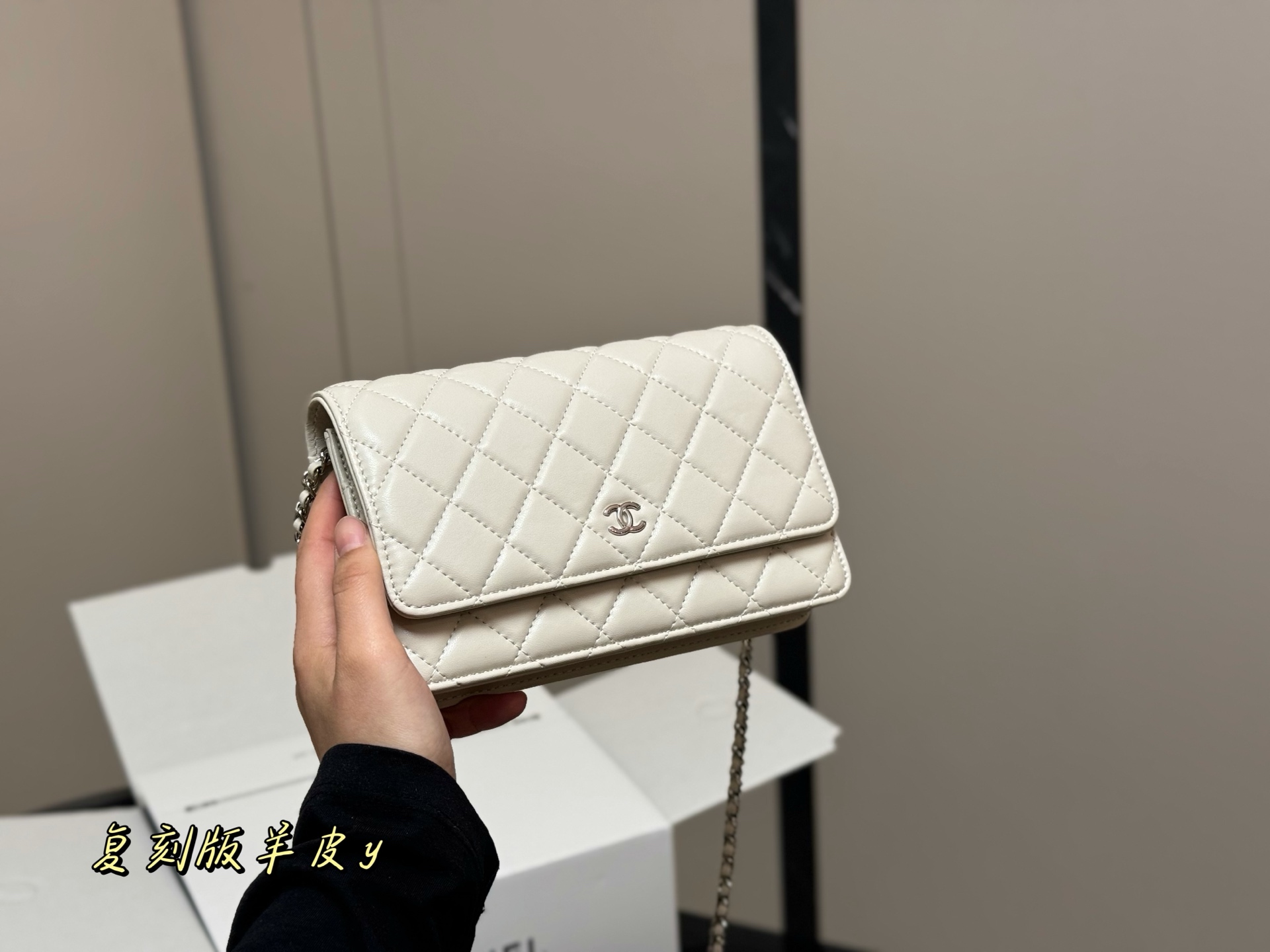 Chanel Classic Fortune Bag