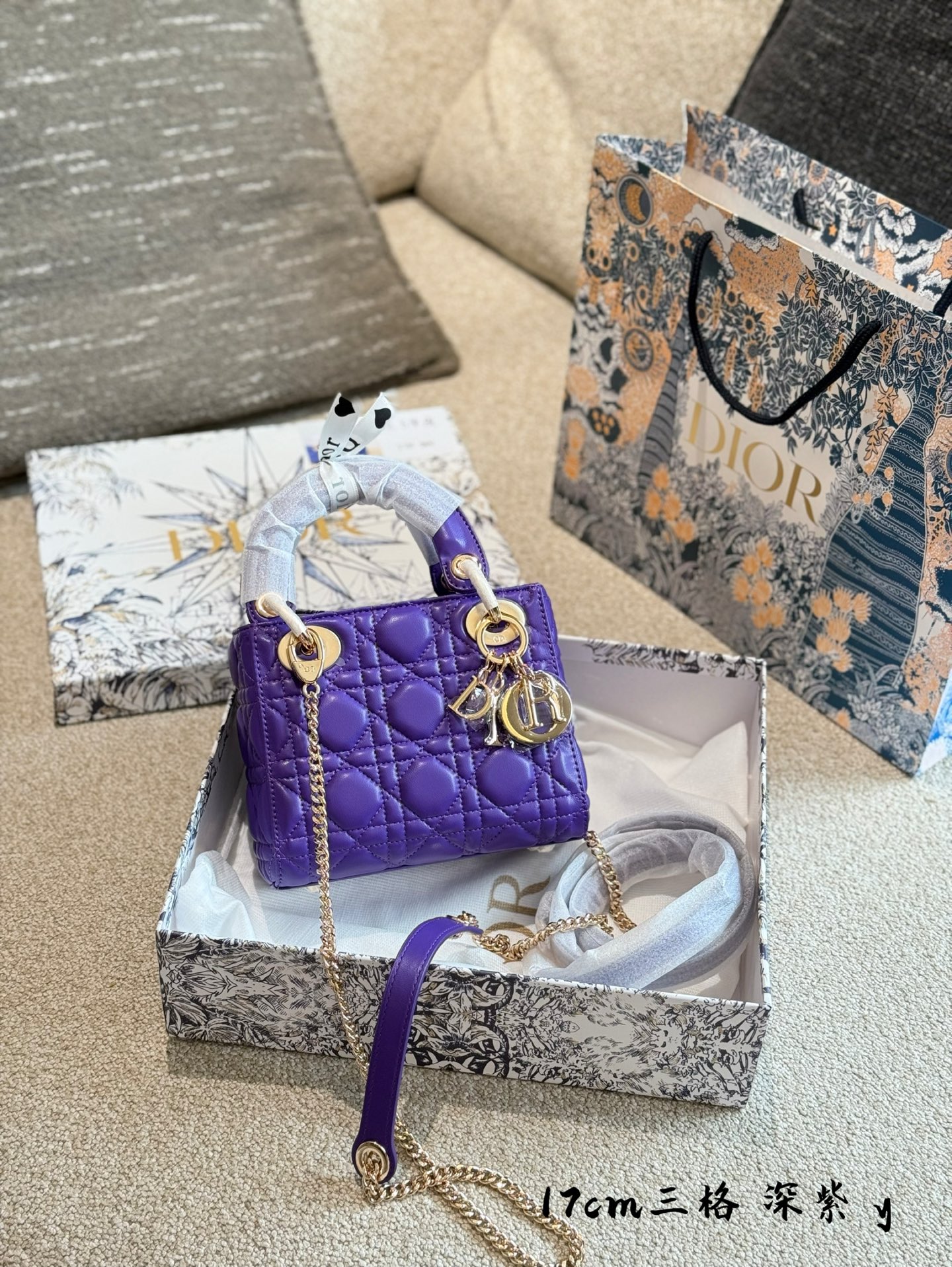 Dior D-Joy bag