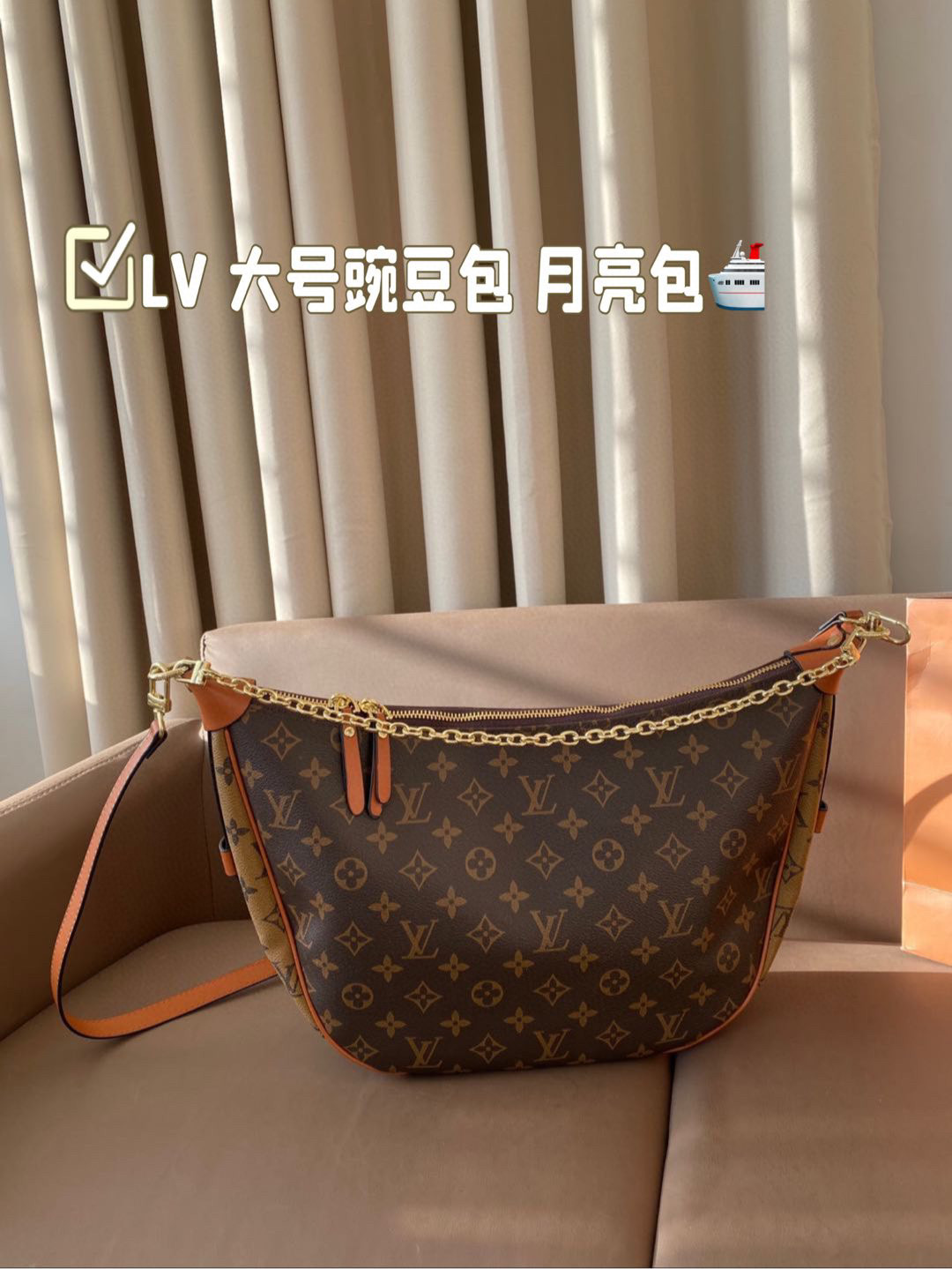 LV large moon bag