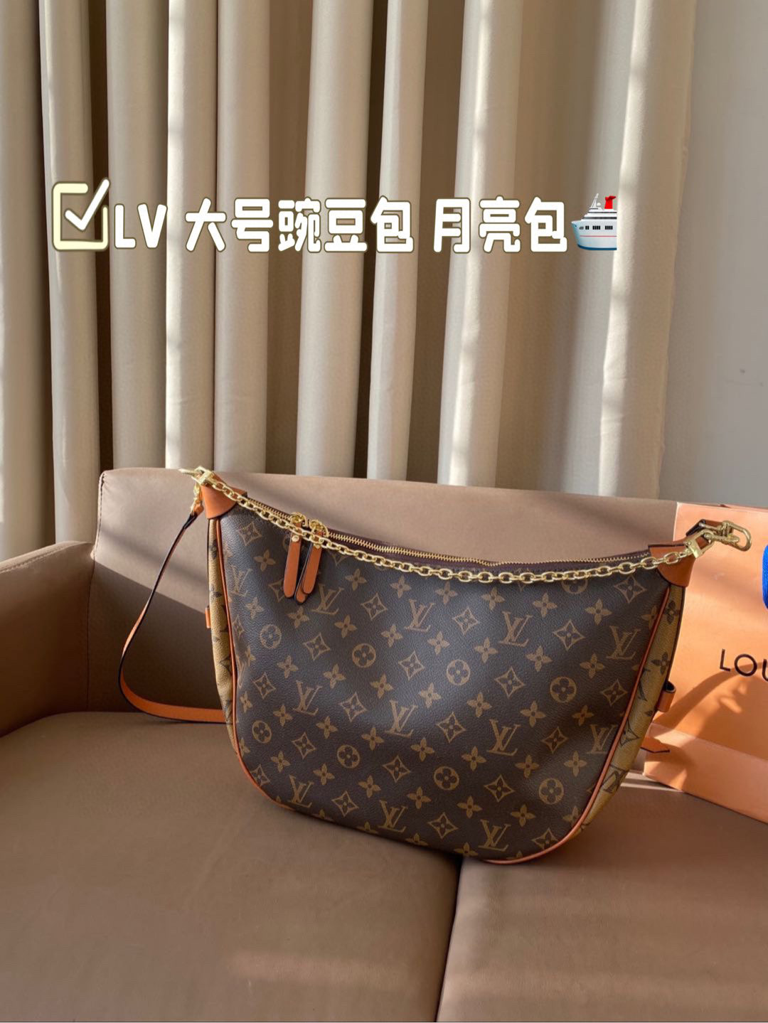 LV large moon bag