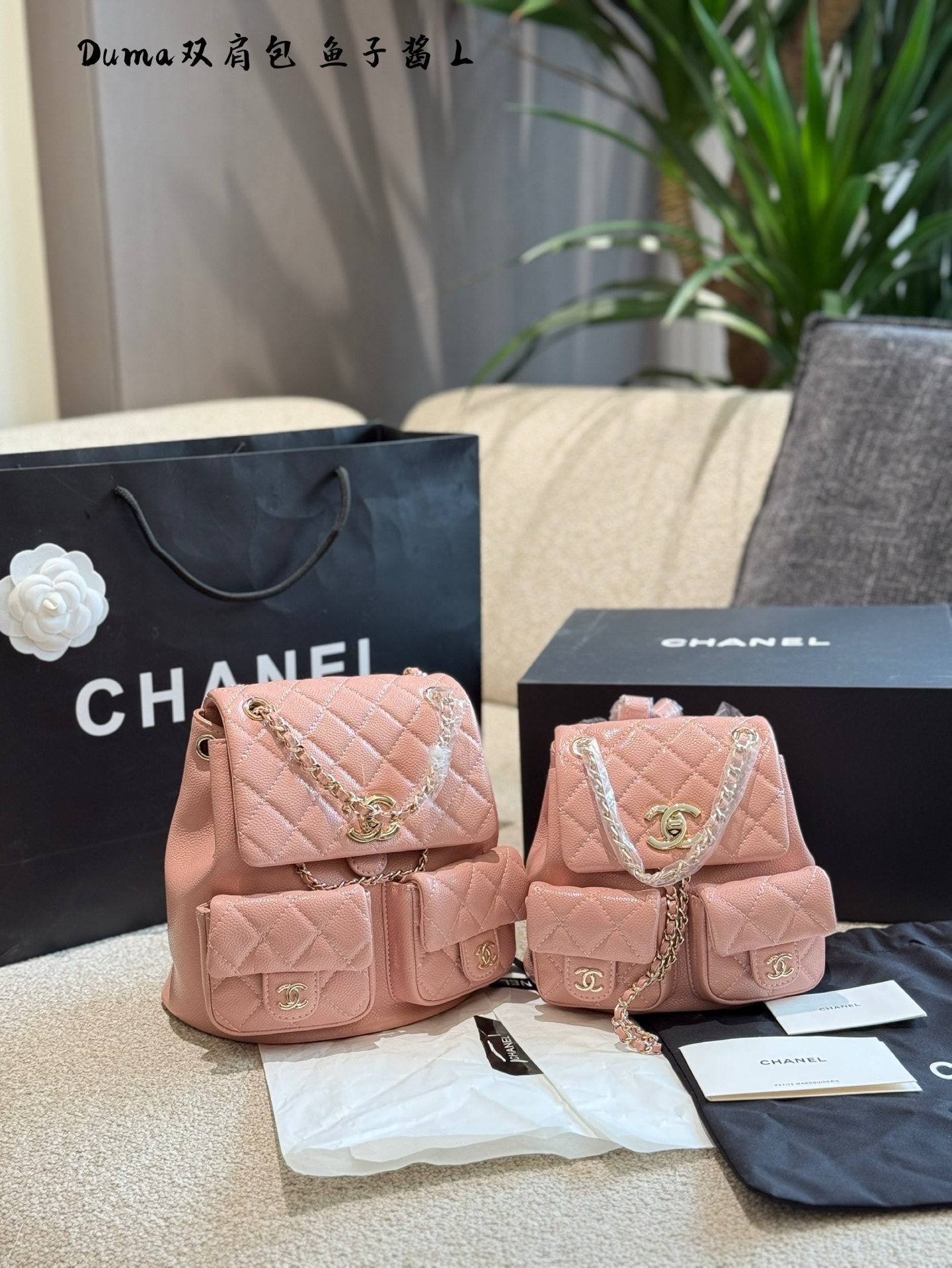 Chanel duma backpack