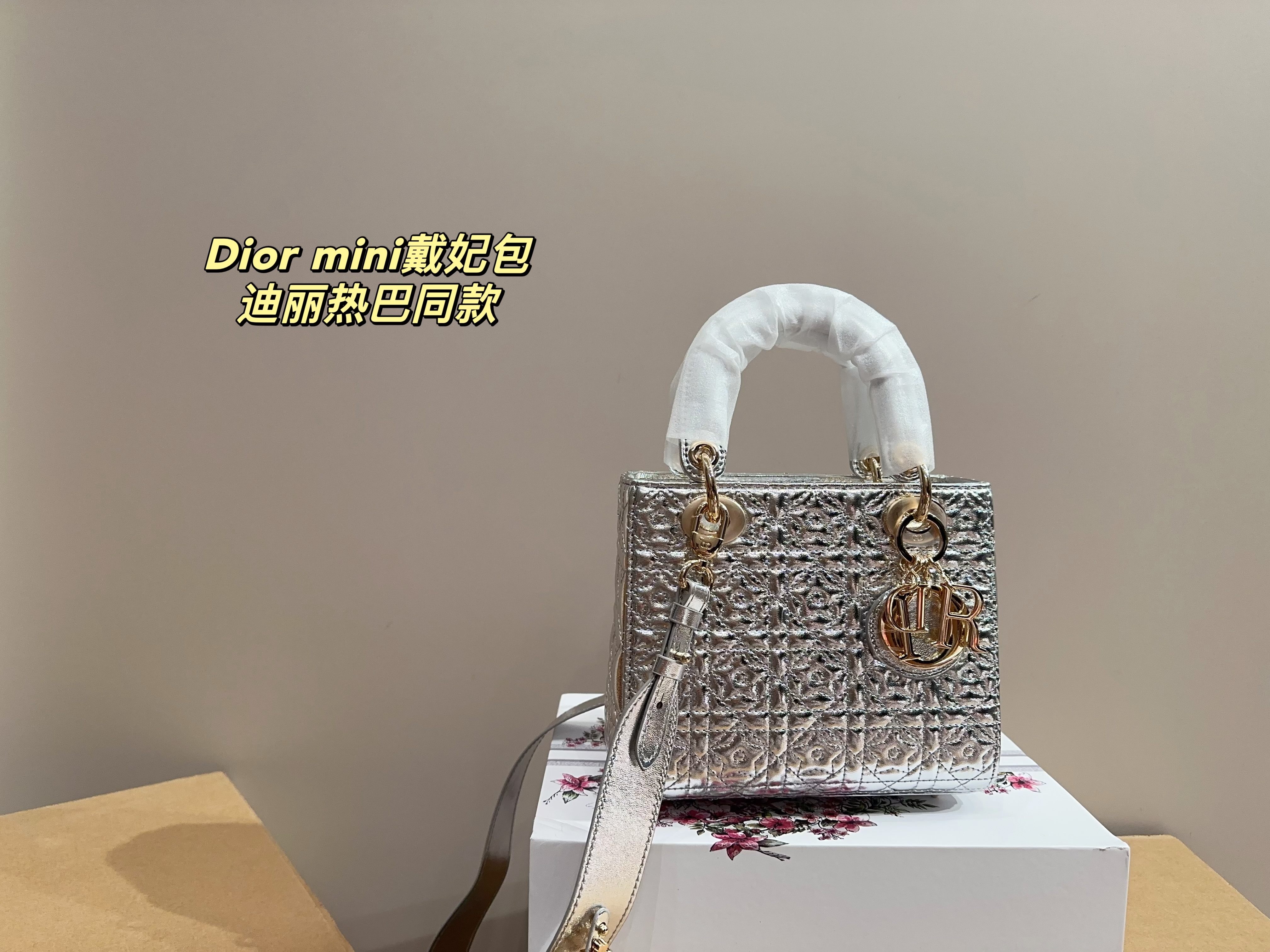 Dior mini handbag