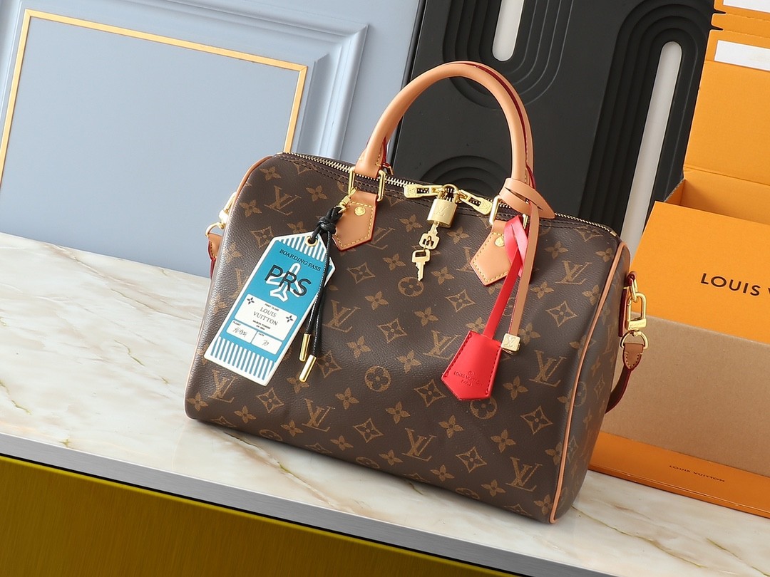LV Speedy Soft 30 Boho Monogram BAG