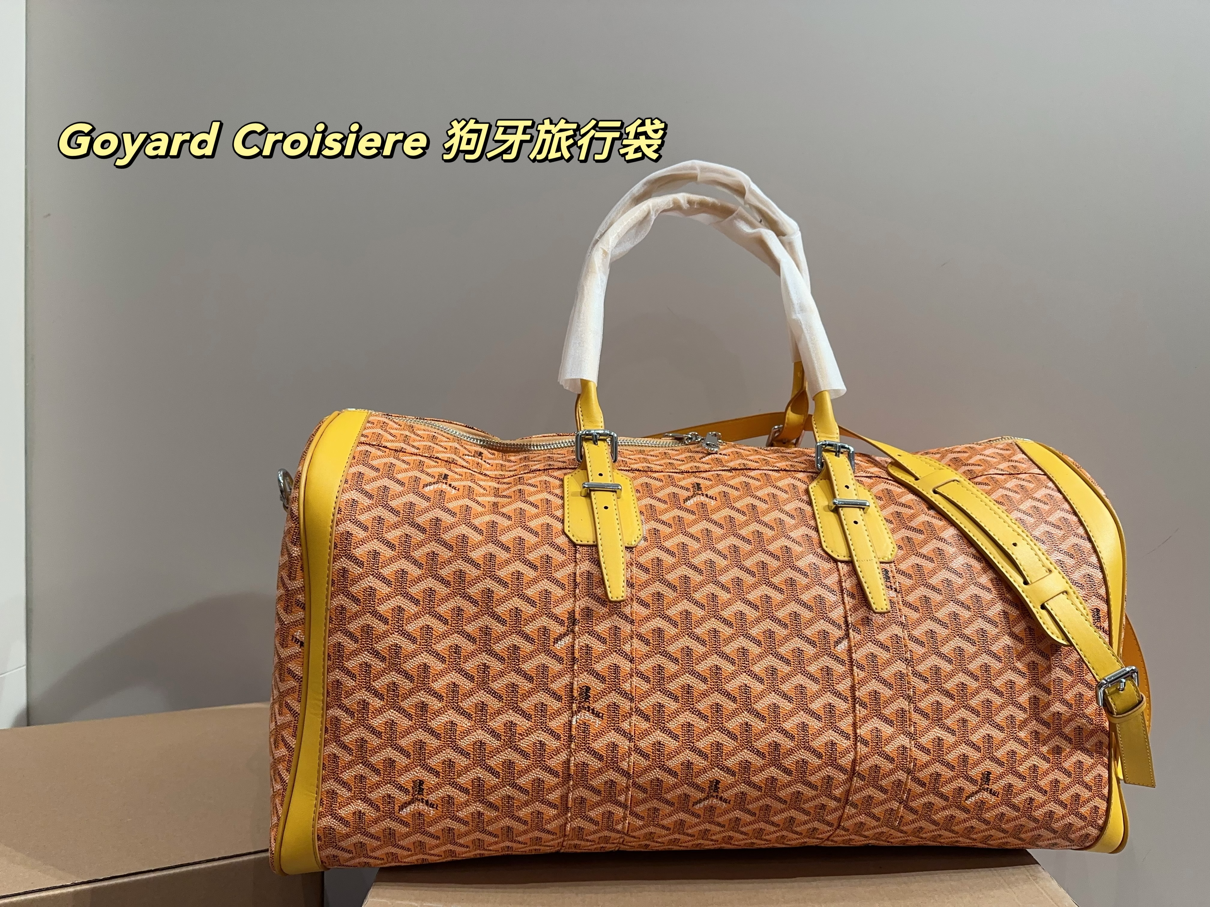 Goyard Croisiere  Travel Bag