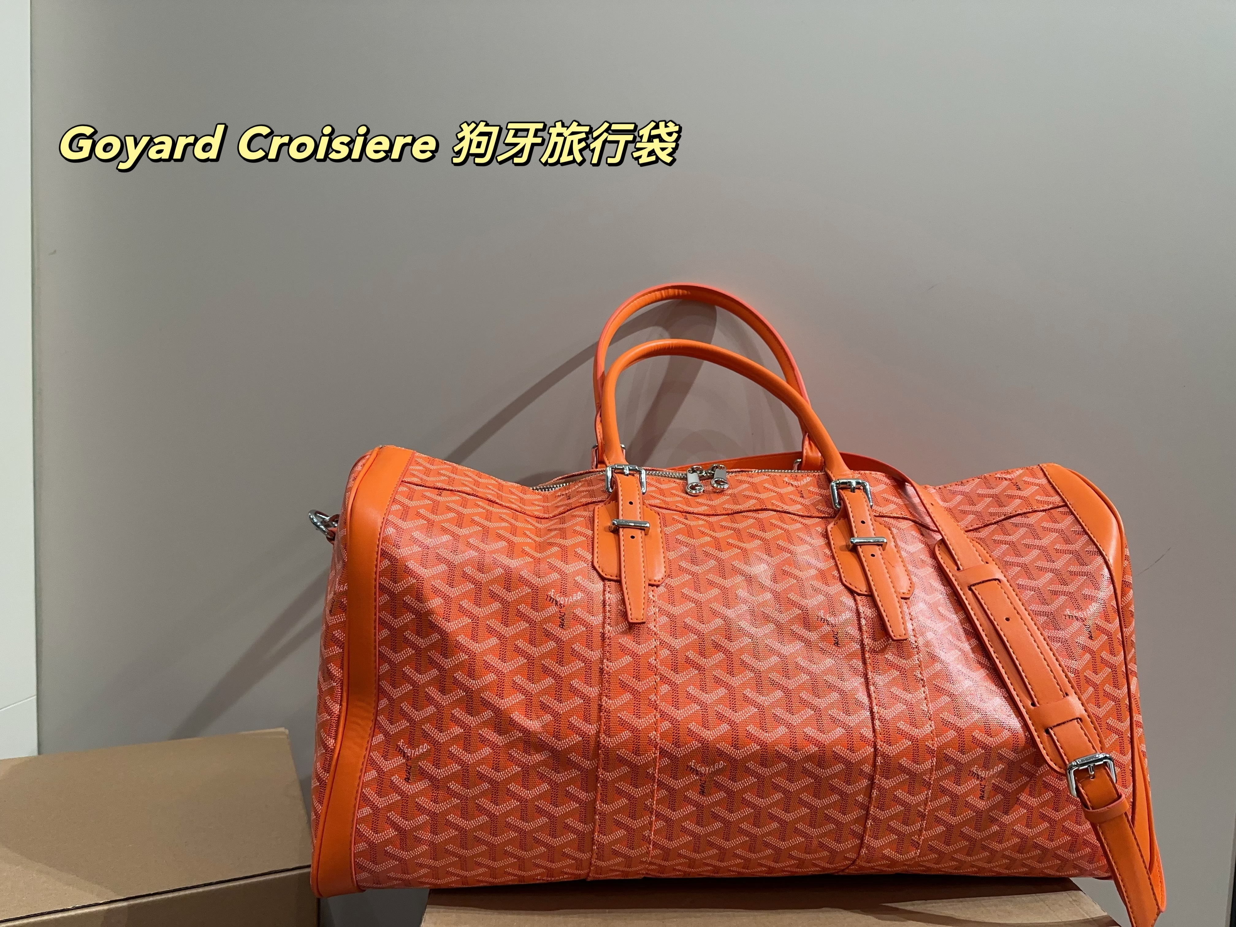 Goyard Croisiere  Travel Bag