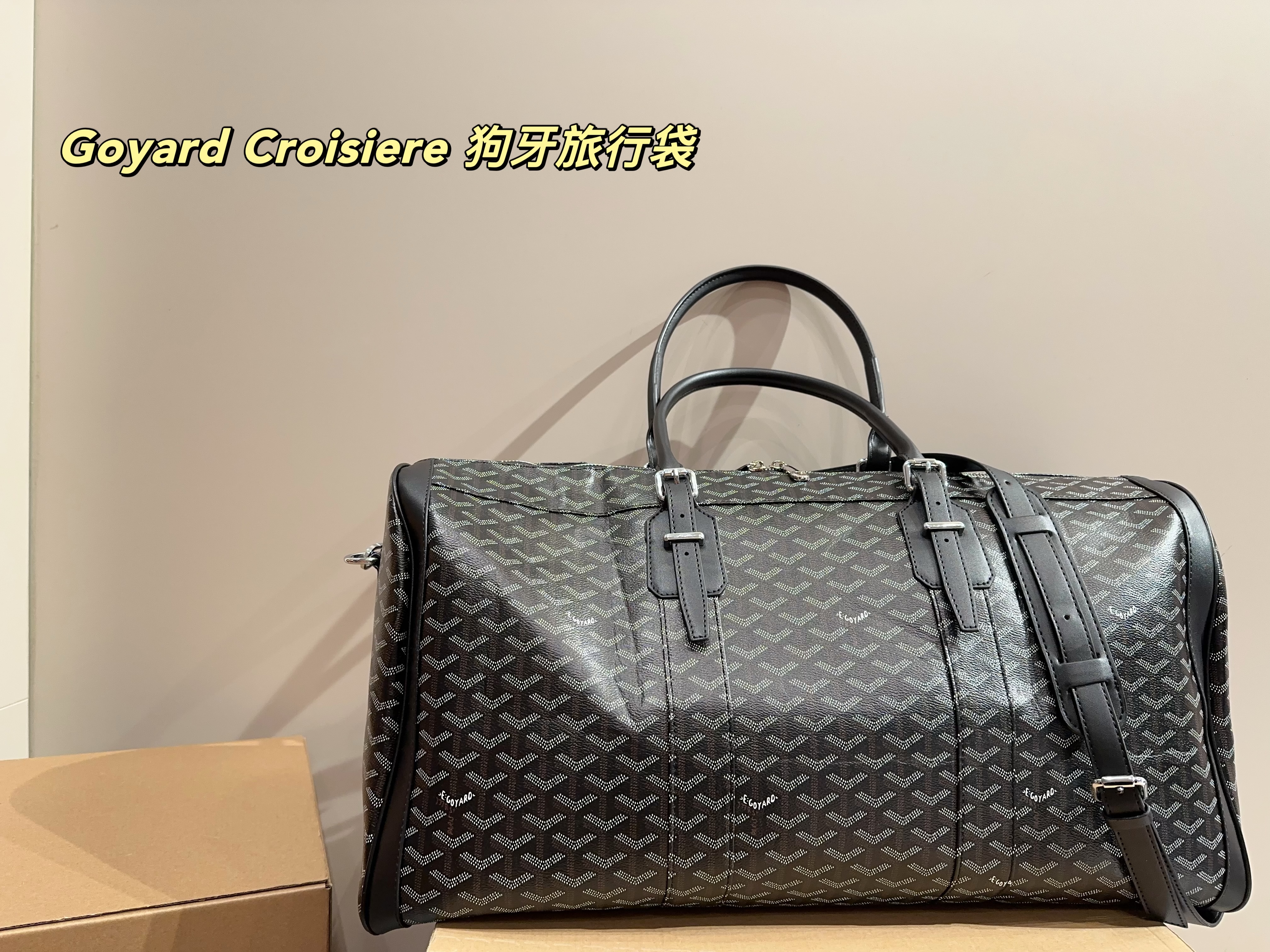 Goyard Croisiere  Travel Bag