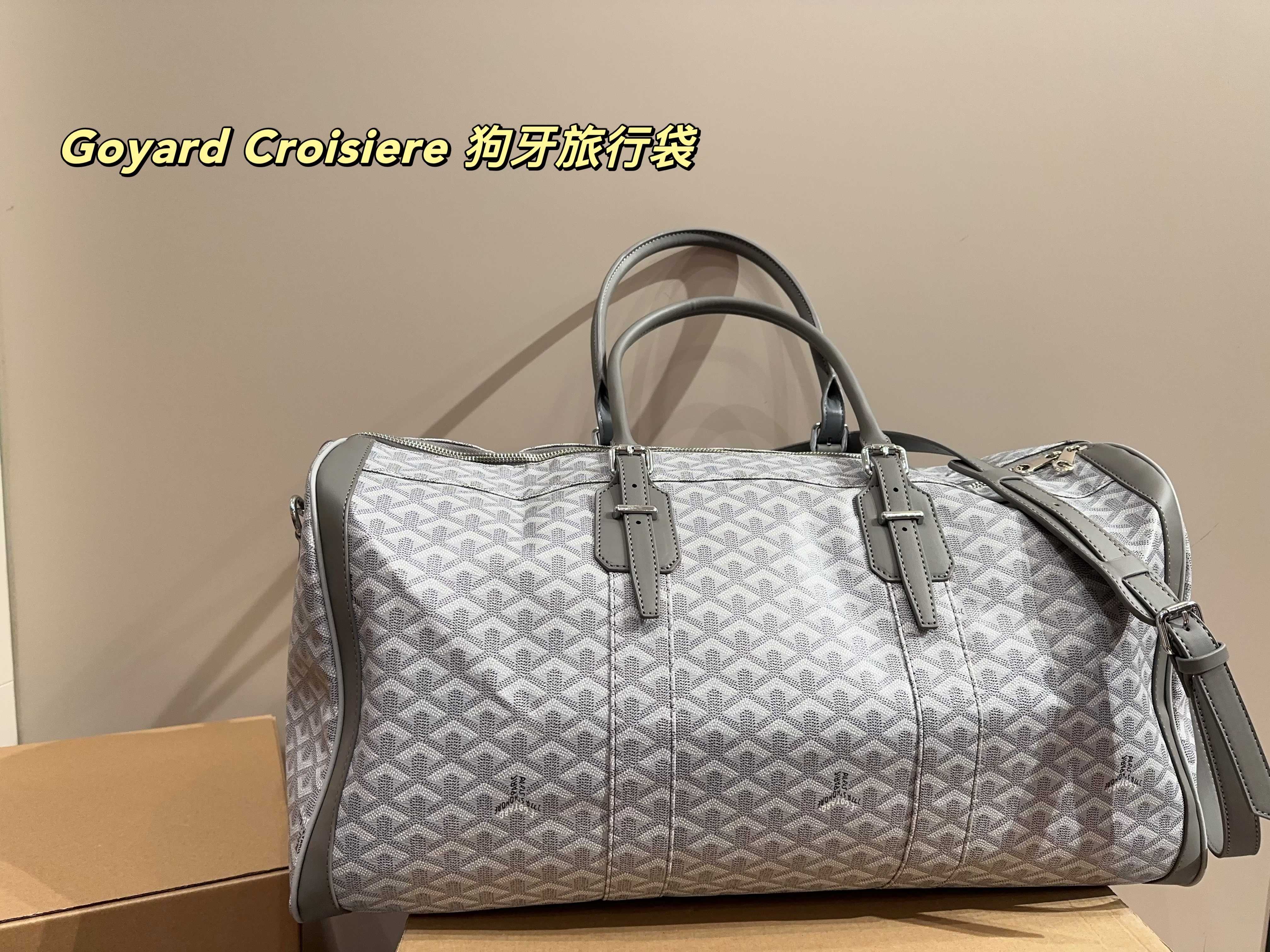 Goyard Croisiere  Travel Bag