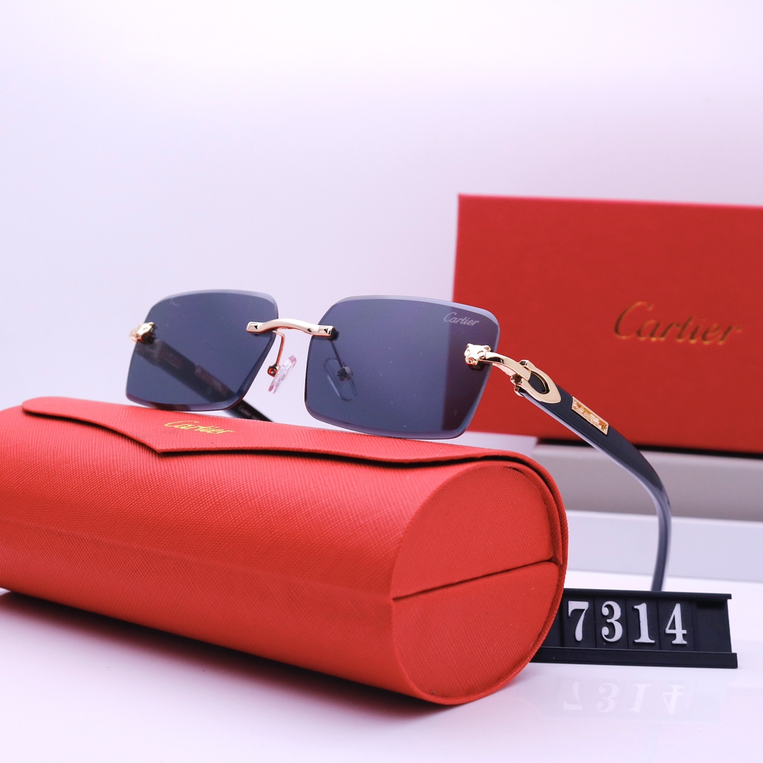 Cartier sunglasses