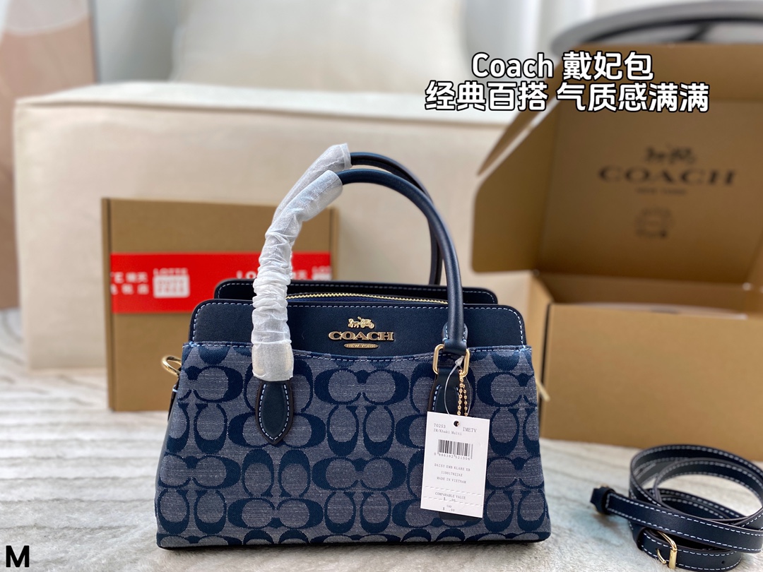 Coach Darcie handbag
