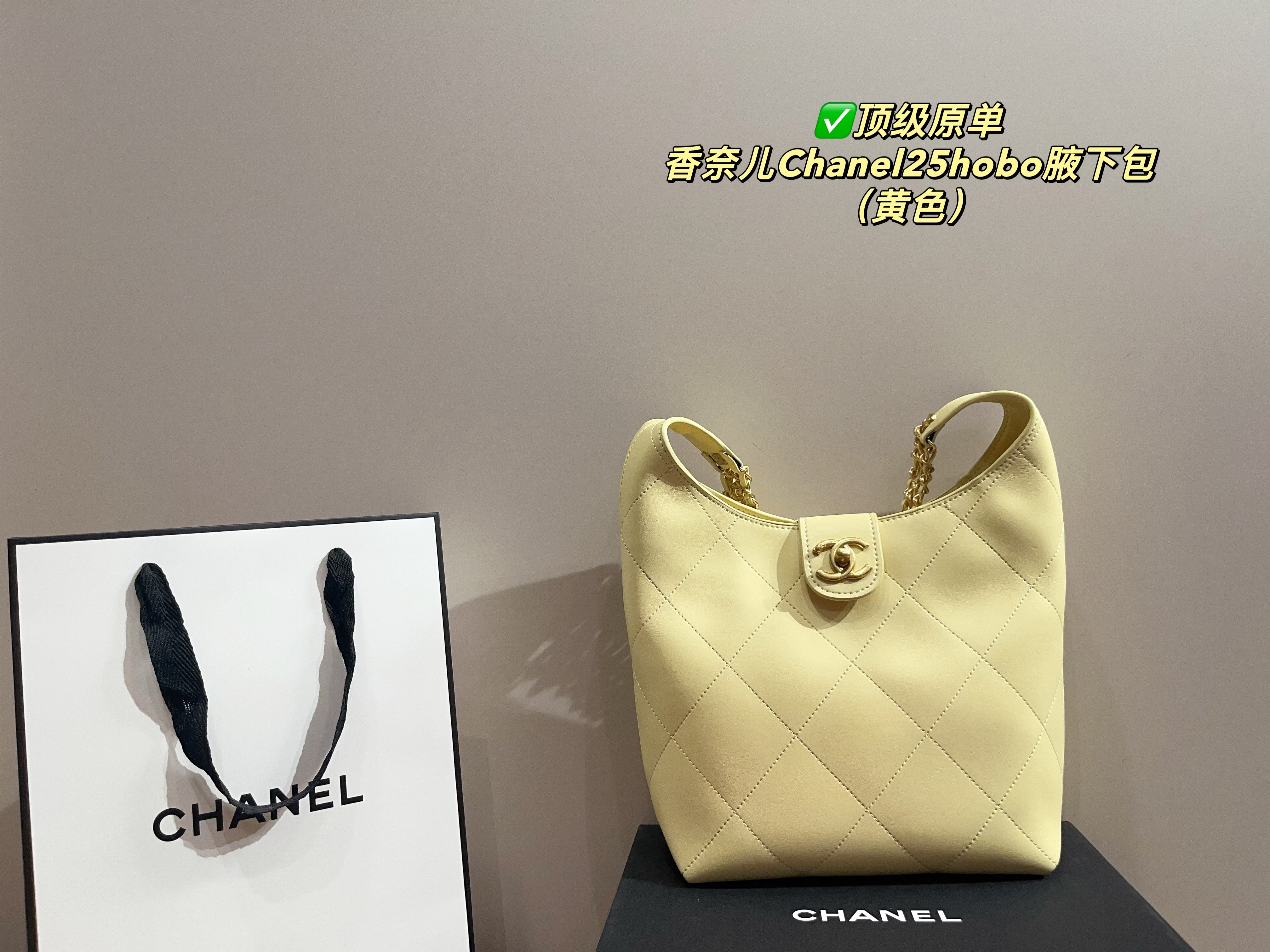 Chanel 25 hobo underarm bag