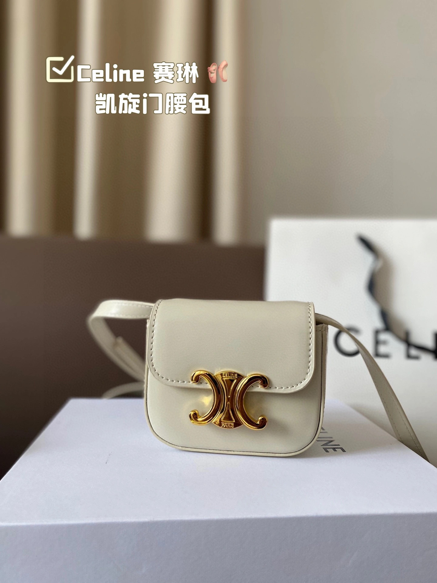 Celine Waist Bag