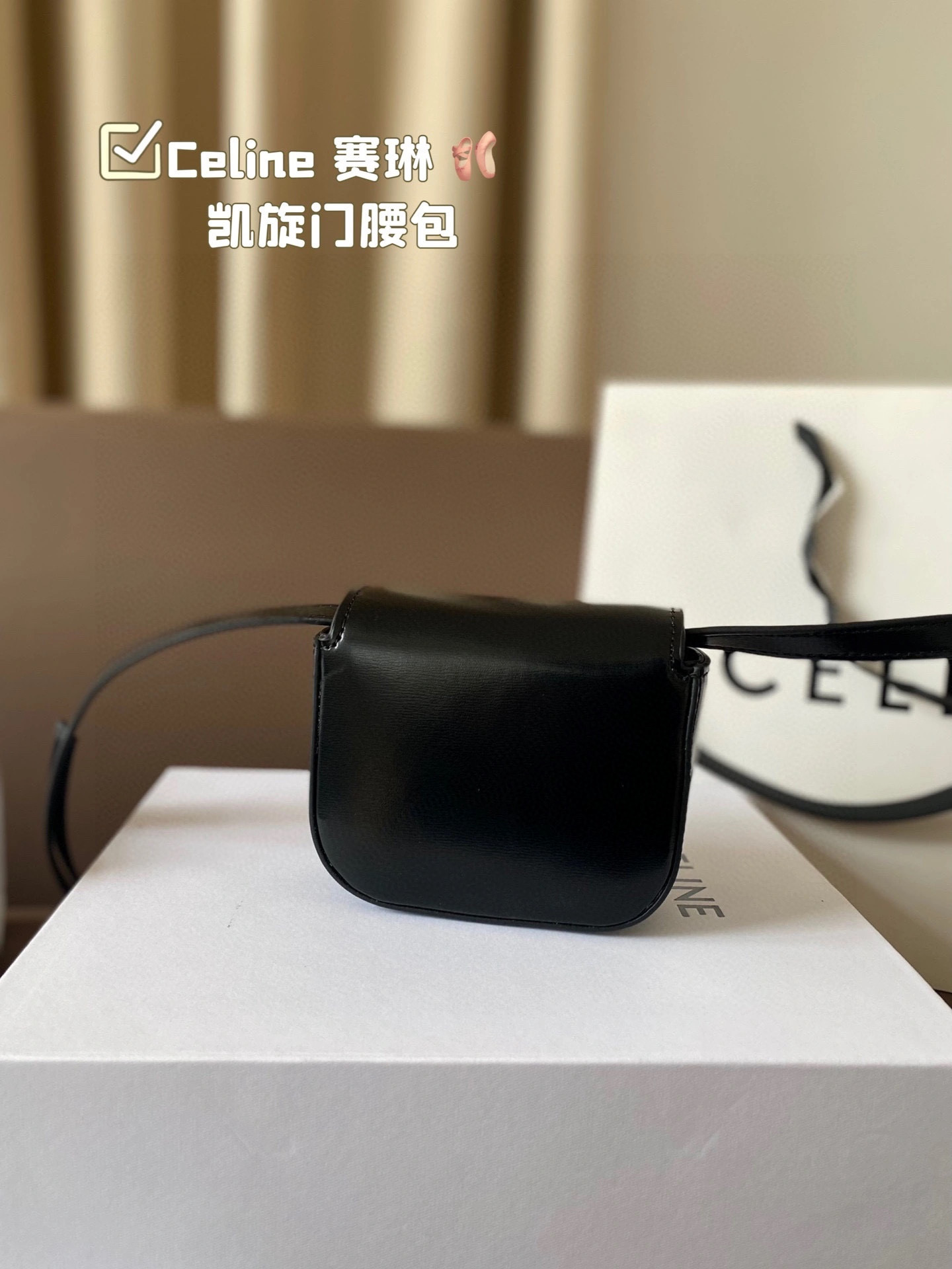 Celine Waist Bag