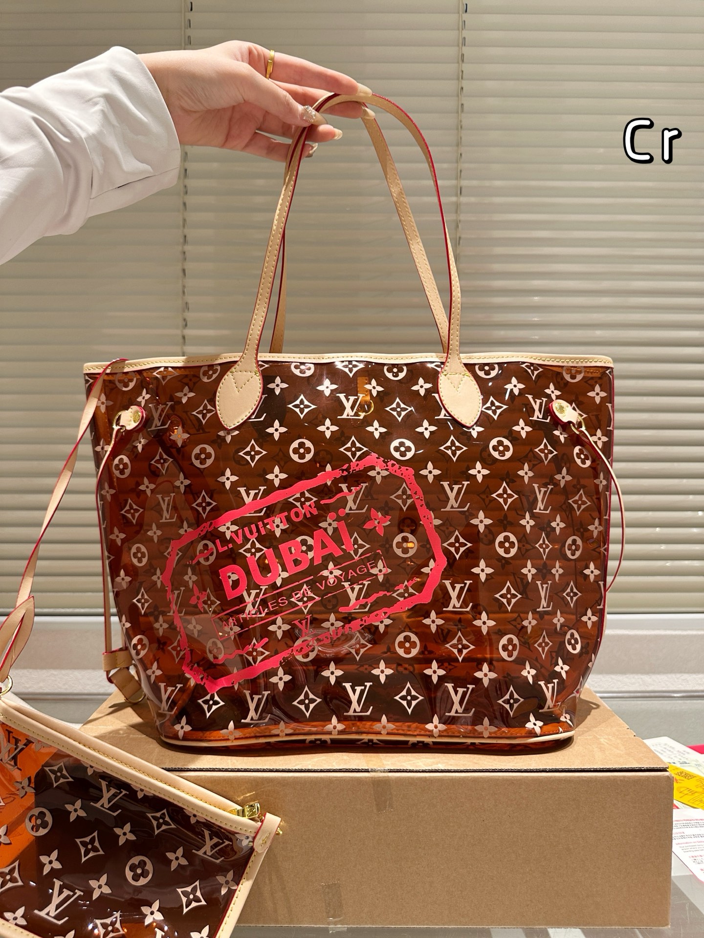 LV transparent bag