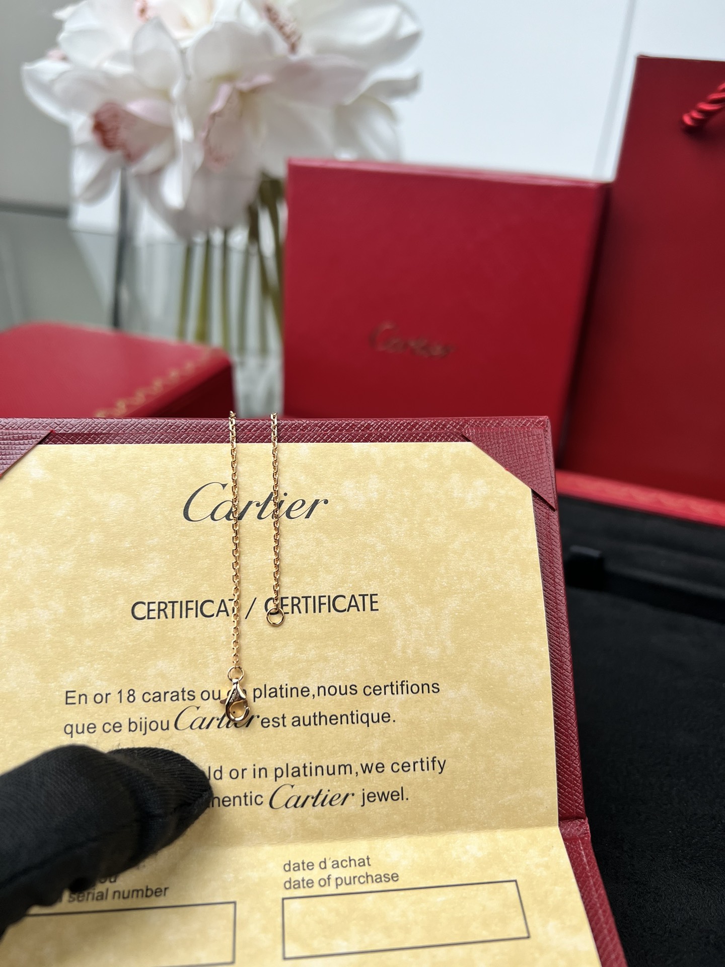 Cartier full of diamonds necklace