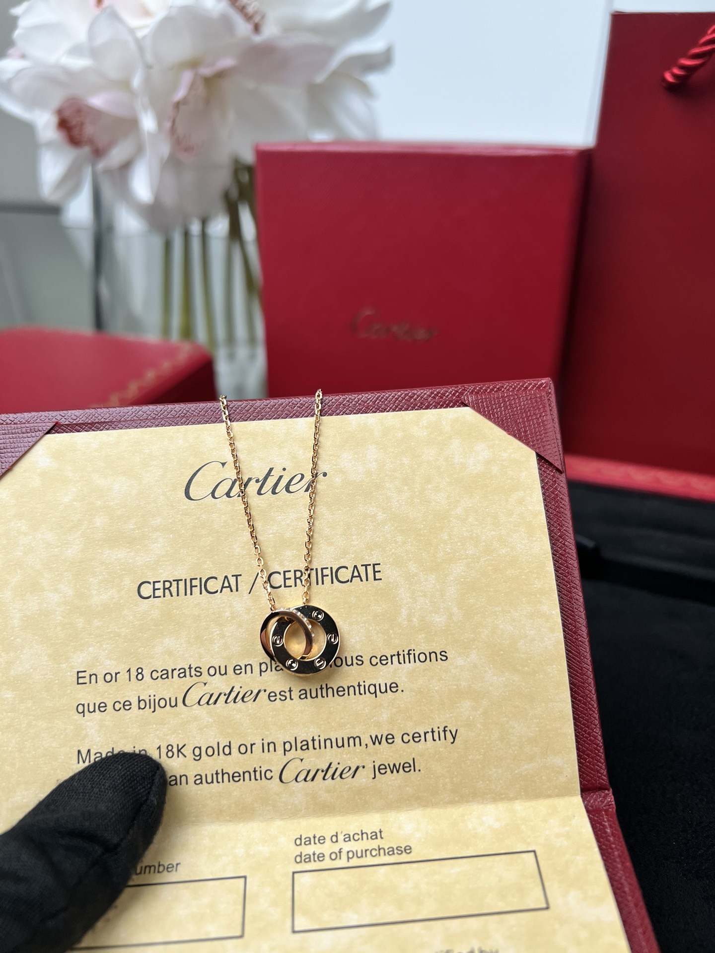 Cartier full of diamonds necklace