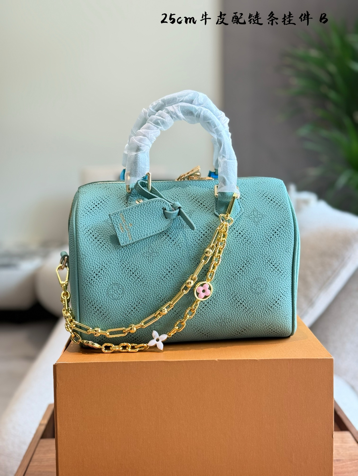 LV Speedy nano pillow bag