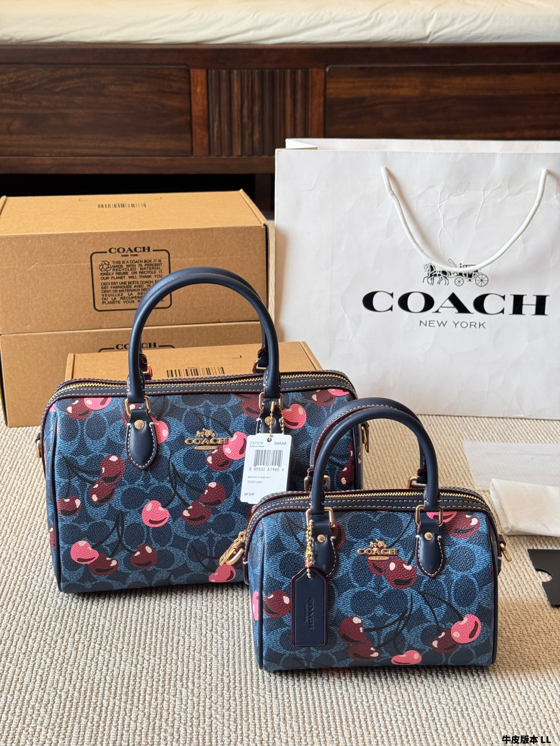 Coach miniRowan pillow bag