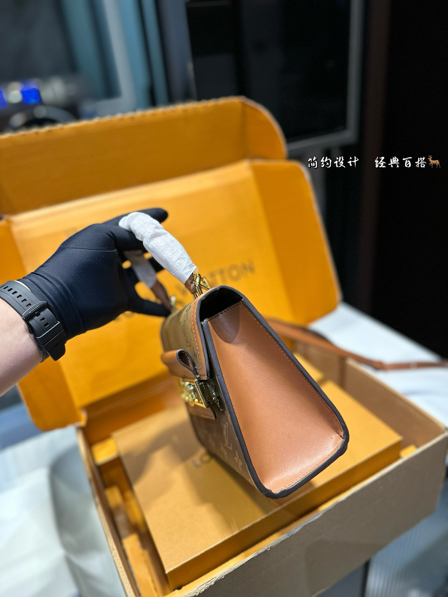 LV Dauphine Pochette Metis bag