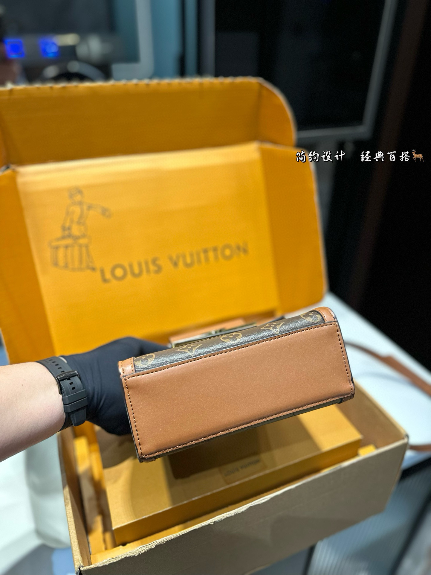 LV Dauphine Pochette Metis bag