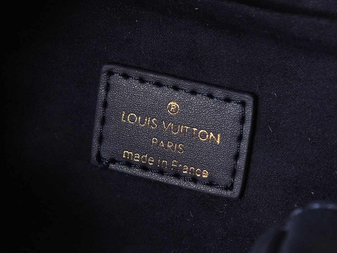 LV Speedy Bandouliere 20 Pillow bag