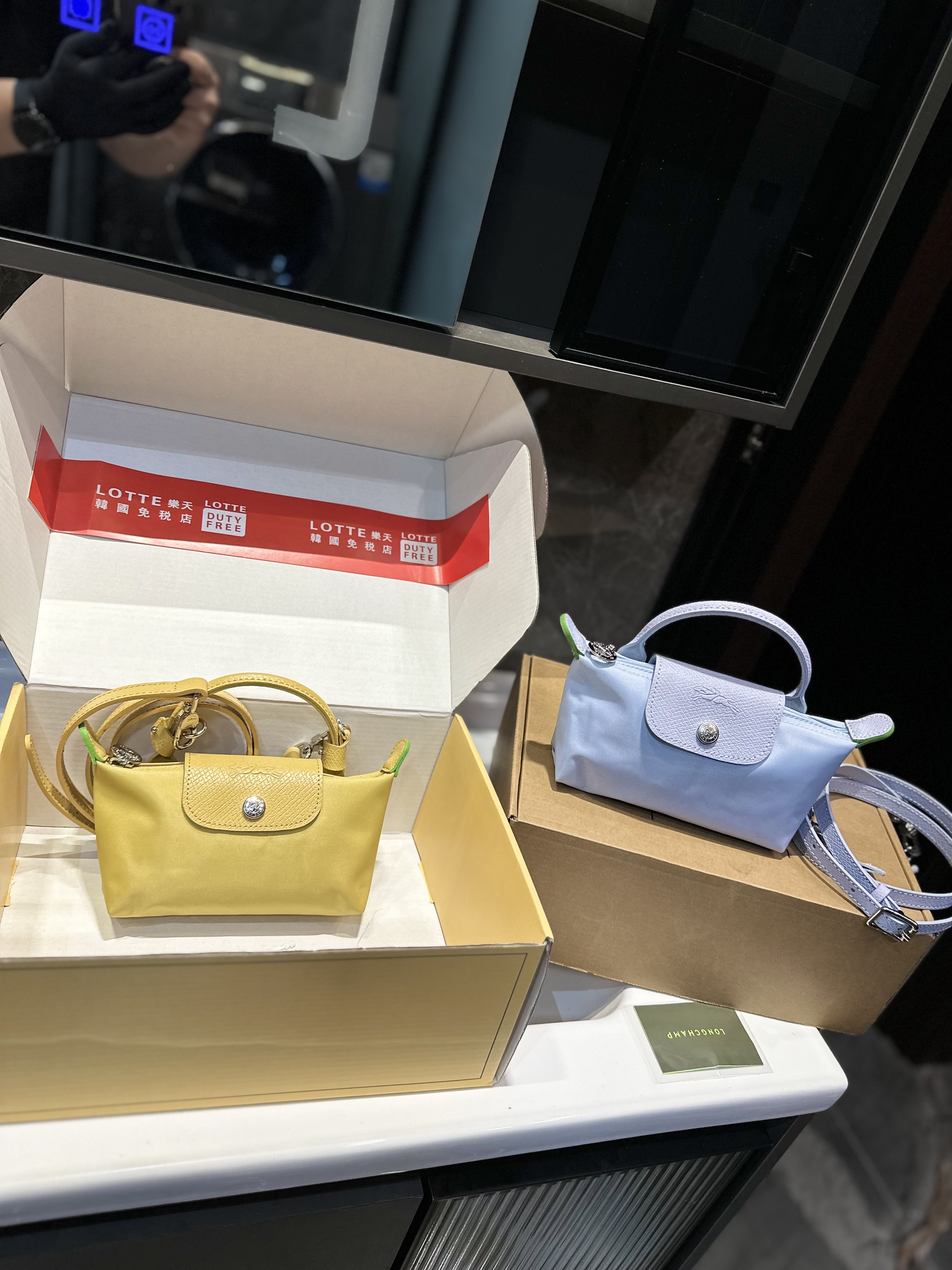 Long champ mini bag