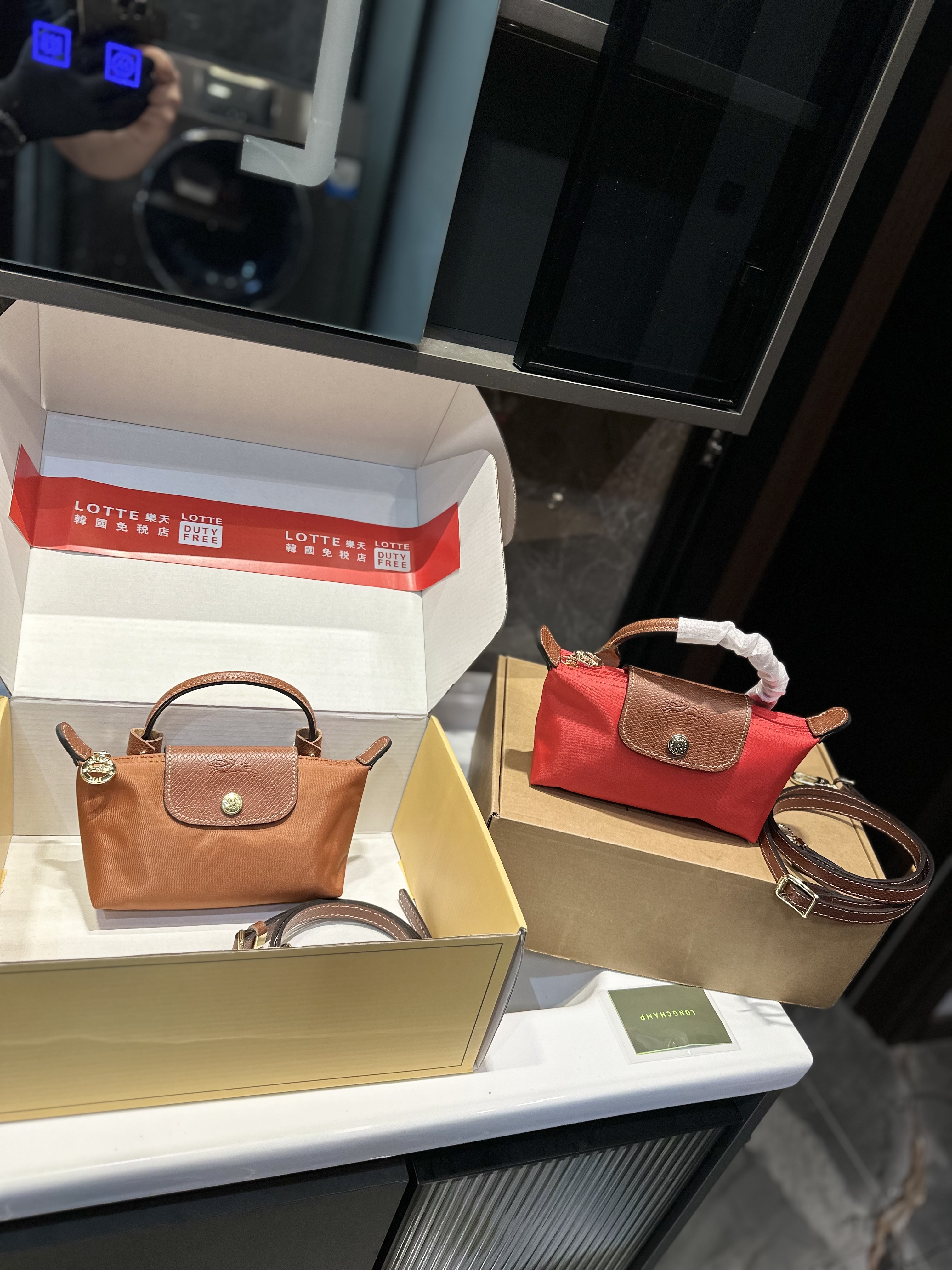 Long champ mini bag