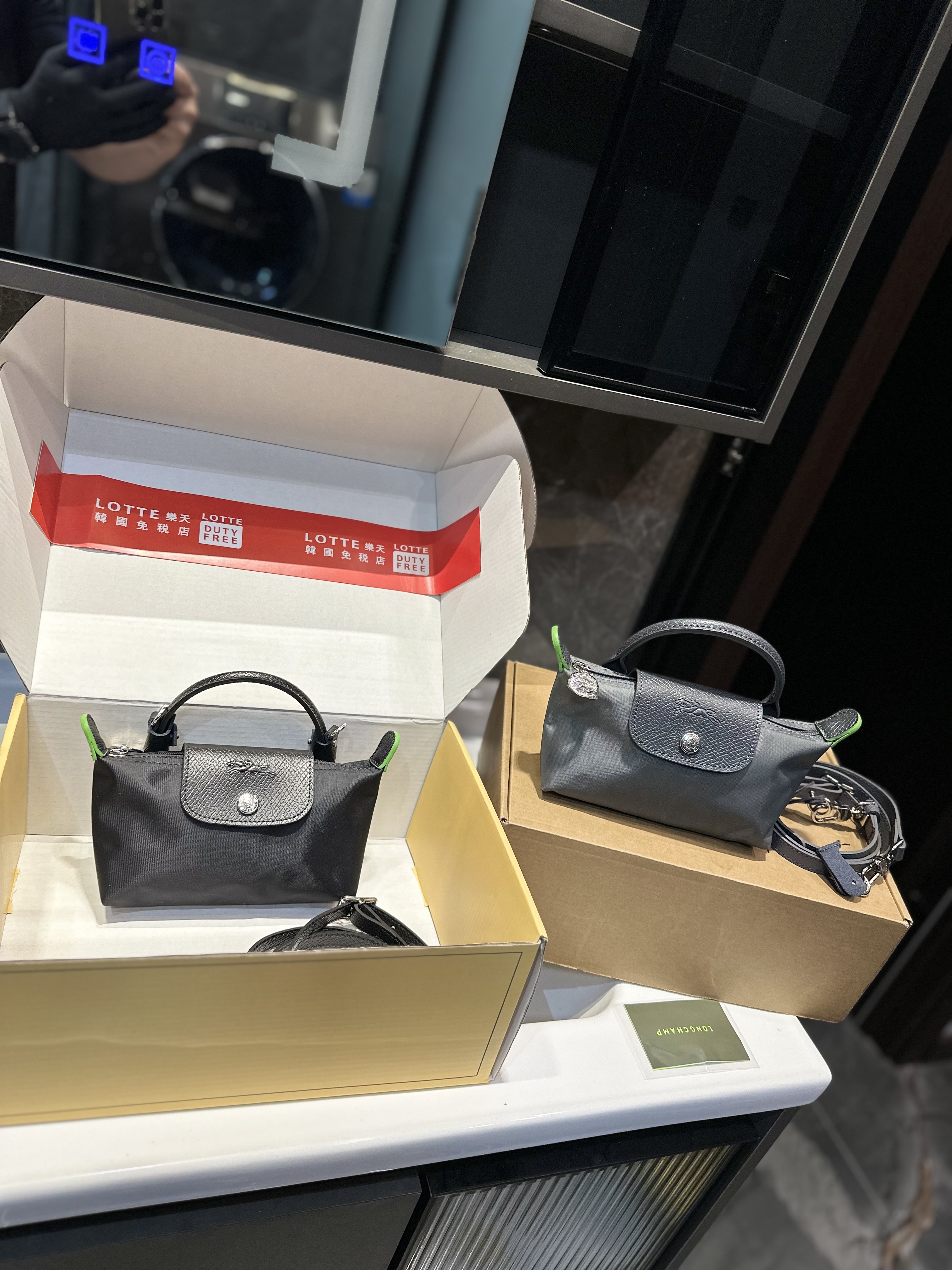 Long champ mini bag
