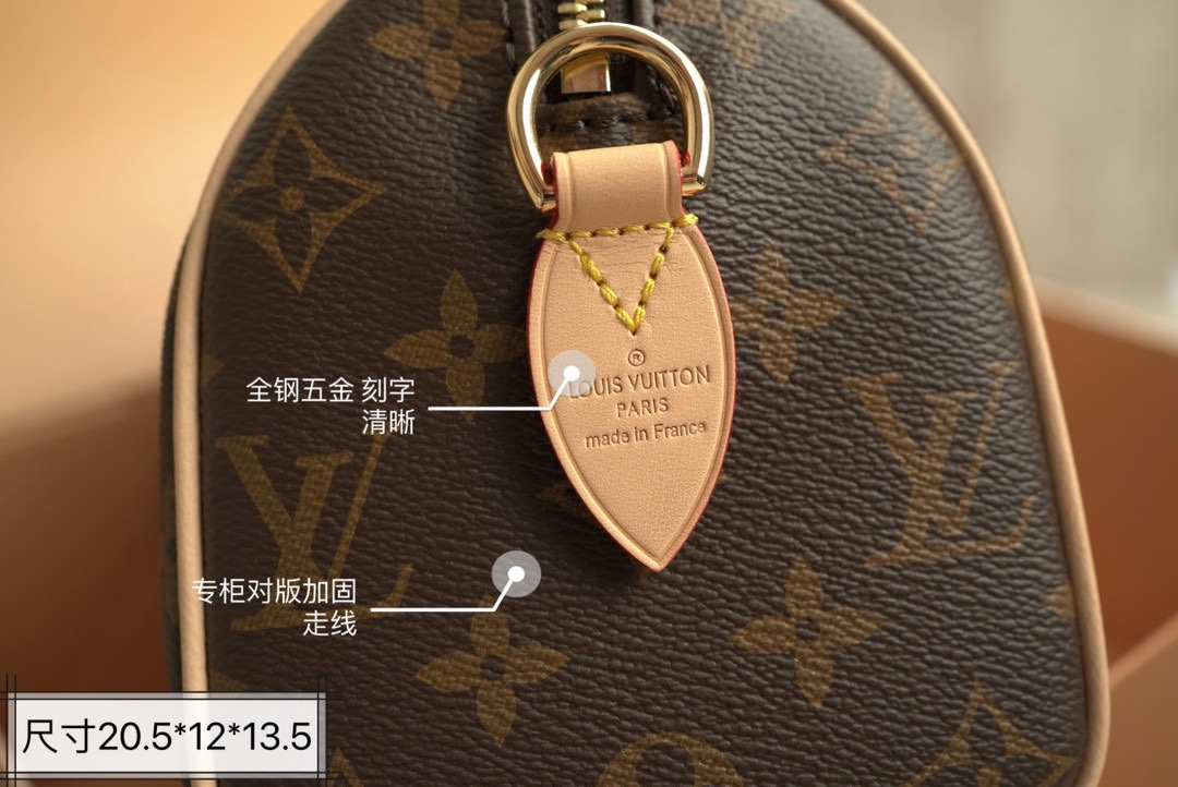 LV Speedy20 Pillow bag