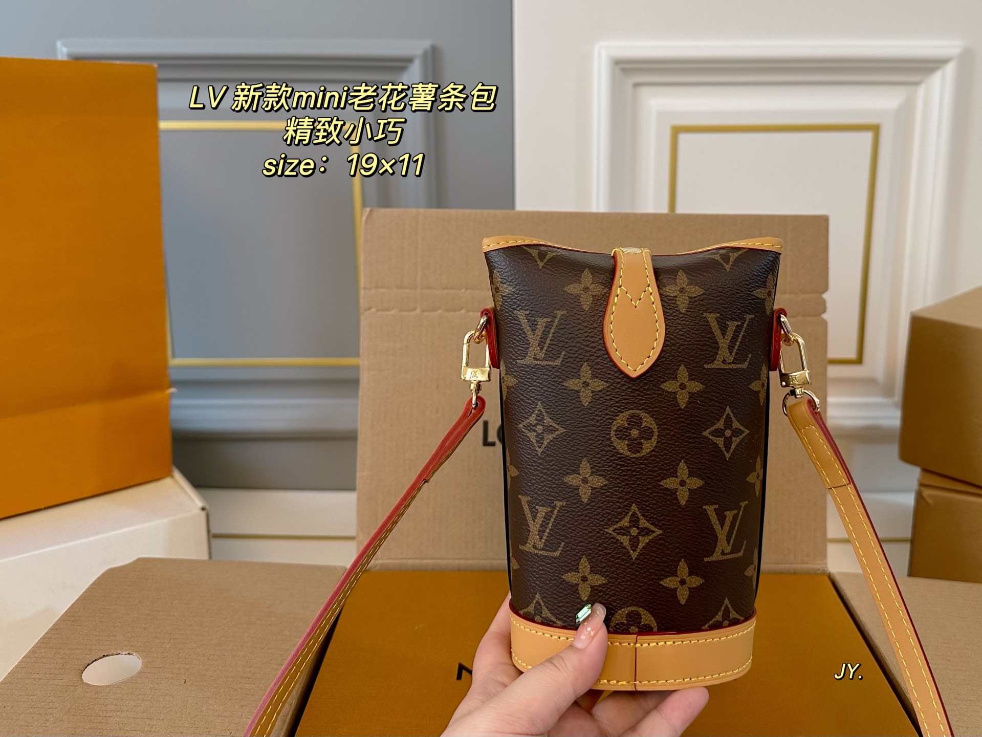 LV mini shoulder bag