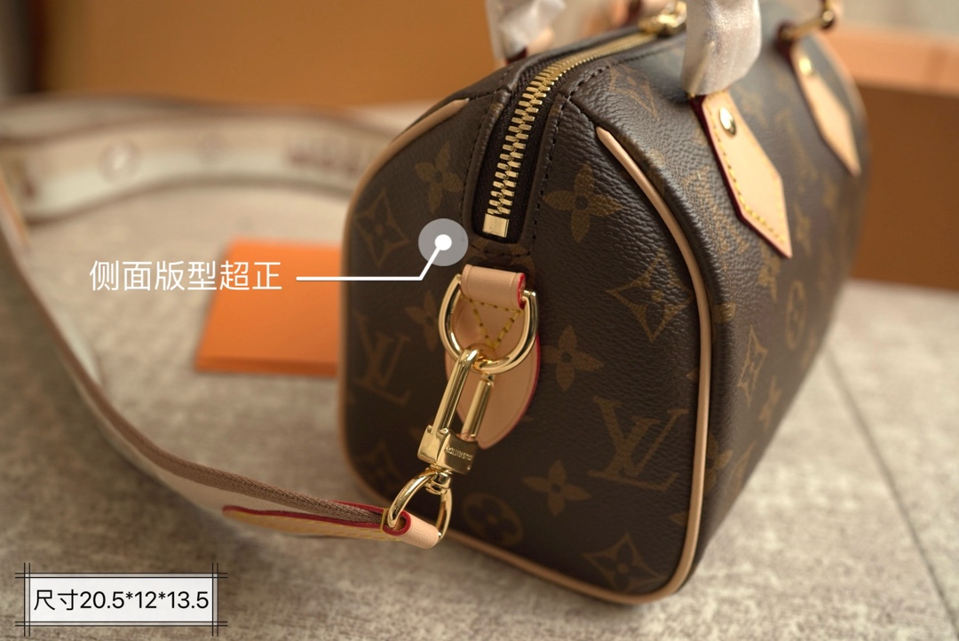 LV Speedy20 Pillow bag