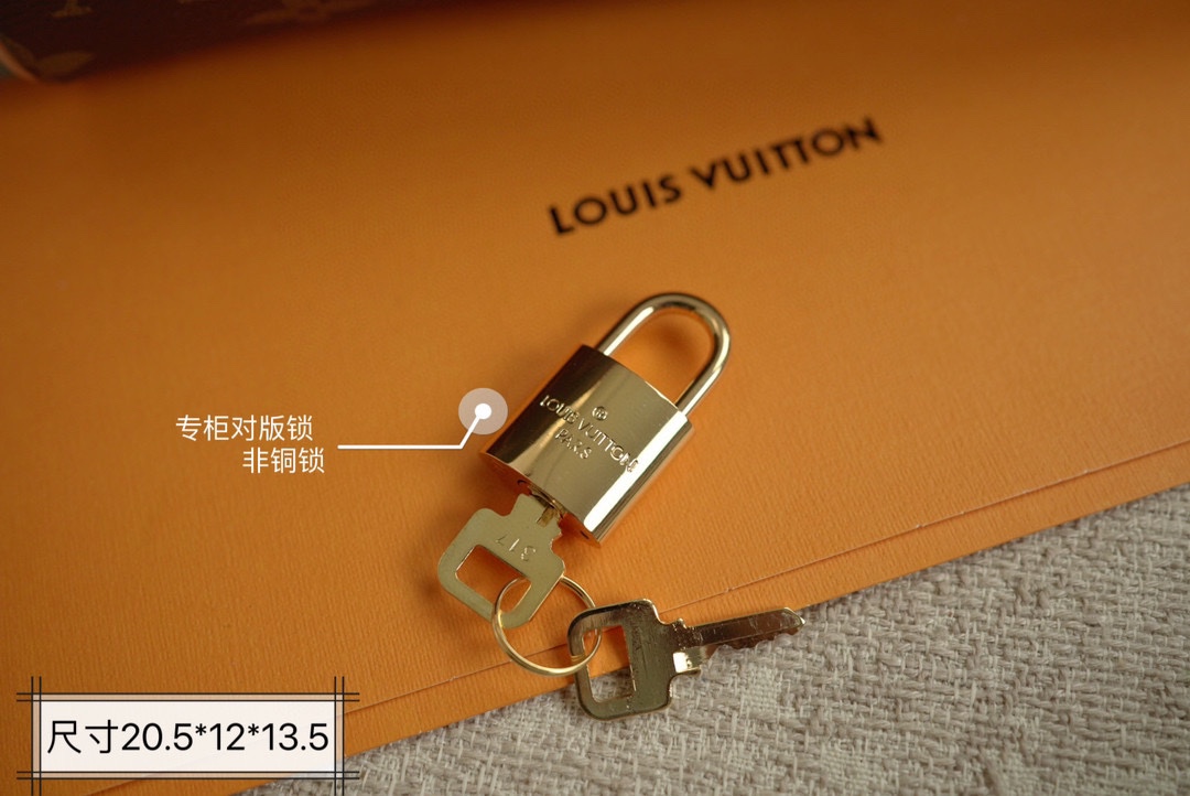 LV Speedy20 Pillow bag