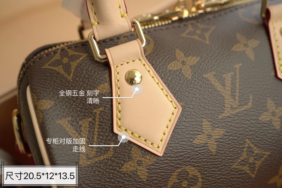 LV Speedy20 Pillow bag