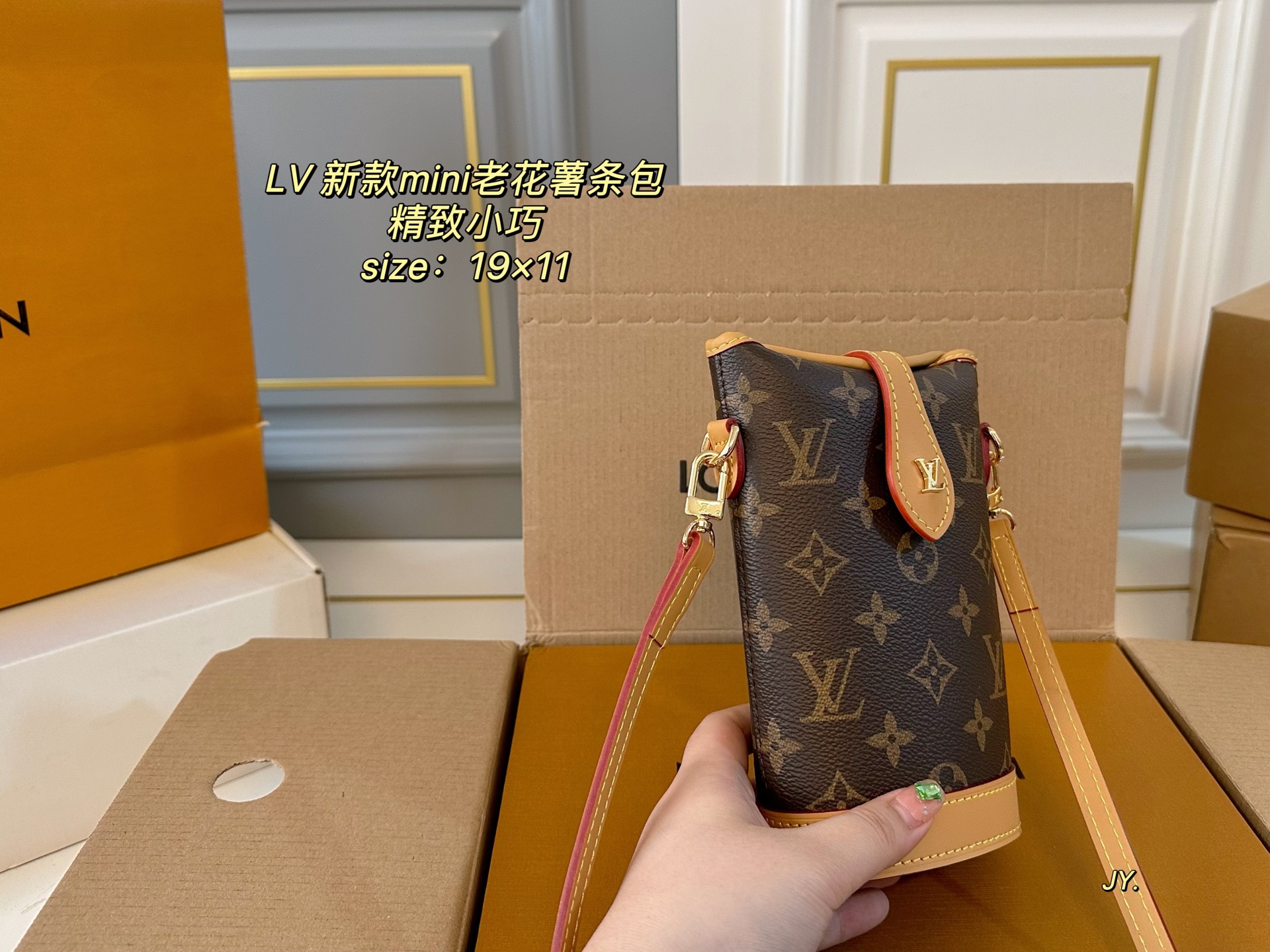 LV mini shoulder bag