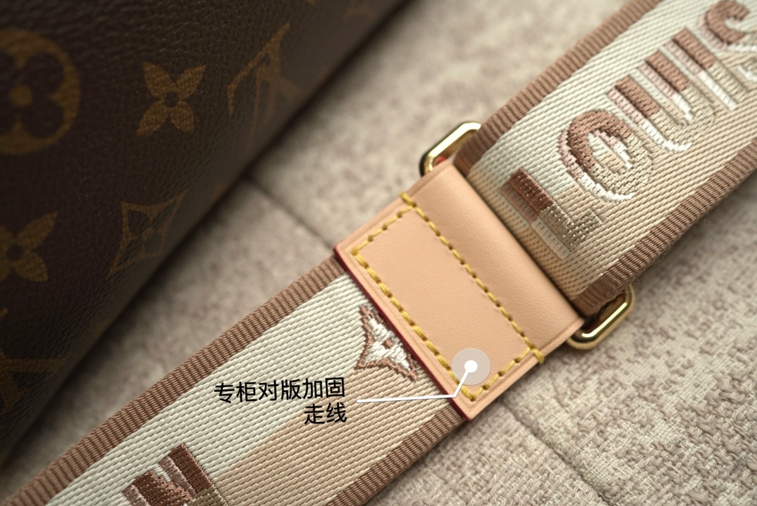 LV Speedy20 Pillow bag