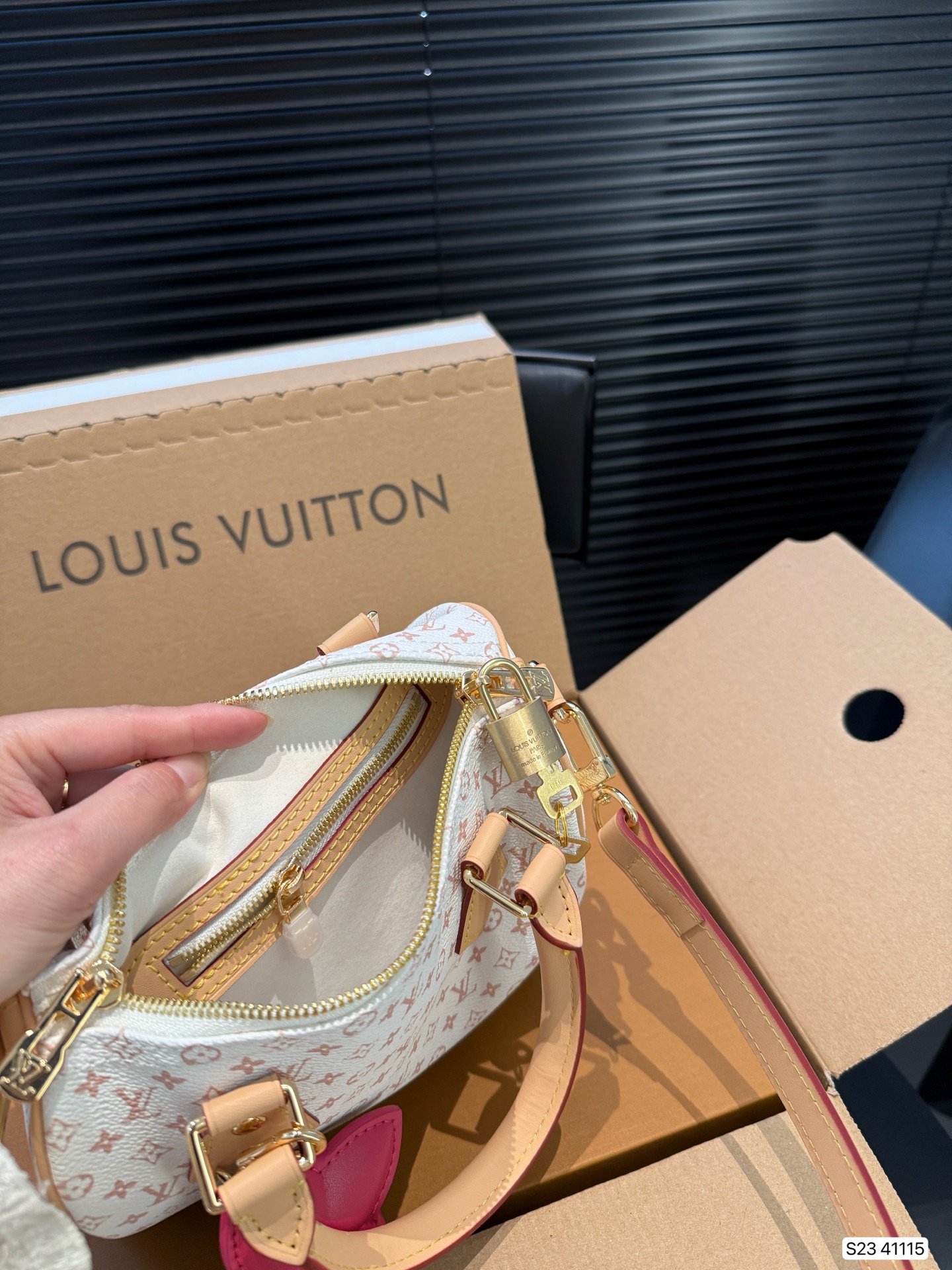 LV Speedy 20 Pillow bag