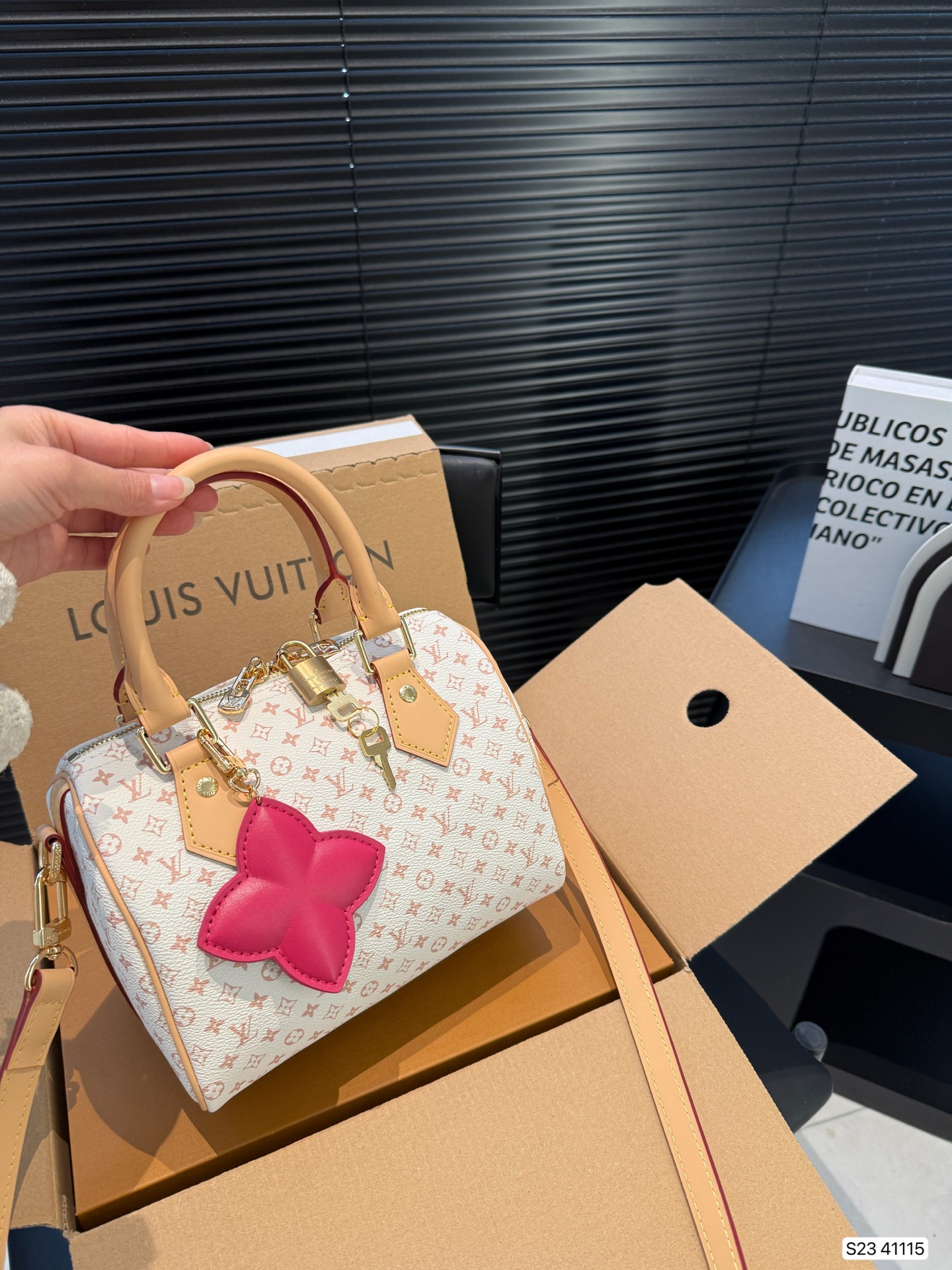 LV Speedy 20 Pillow bag
