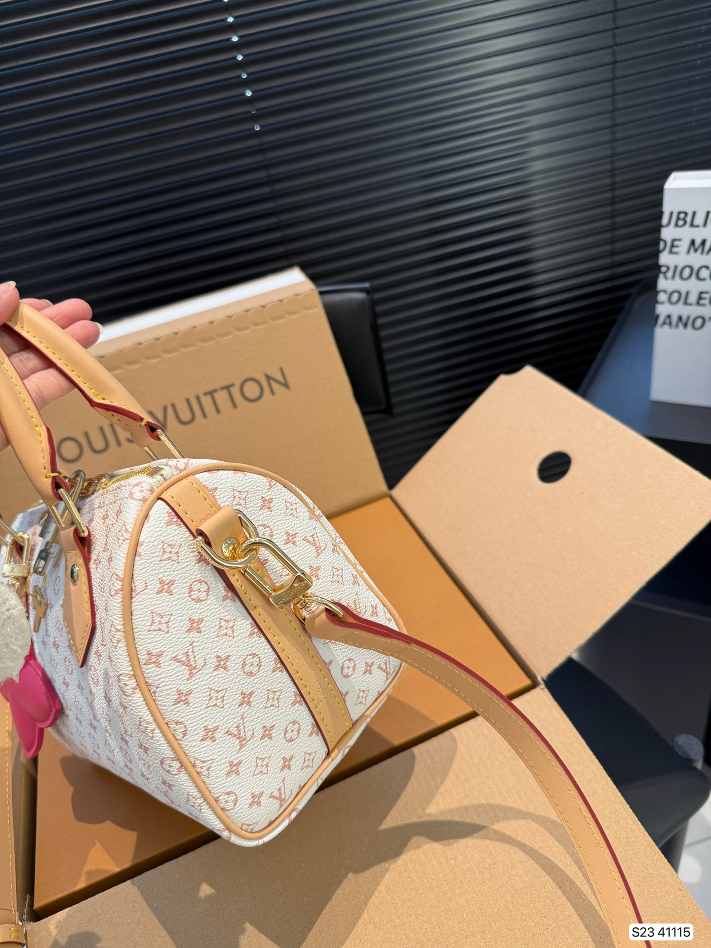 LV Speedy 20 Pillow bag