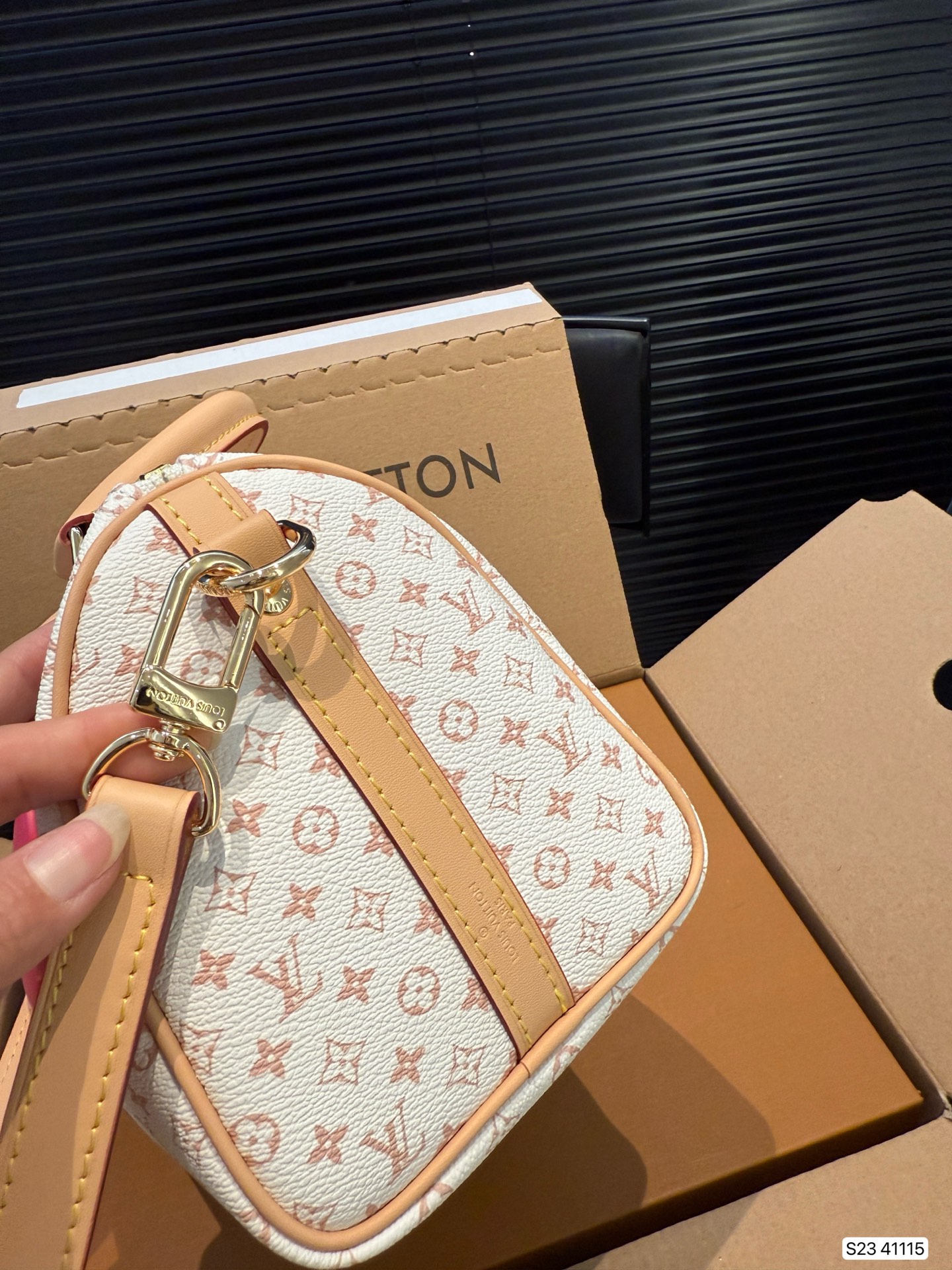 LV Speedy 20 Pillow bag